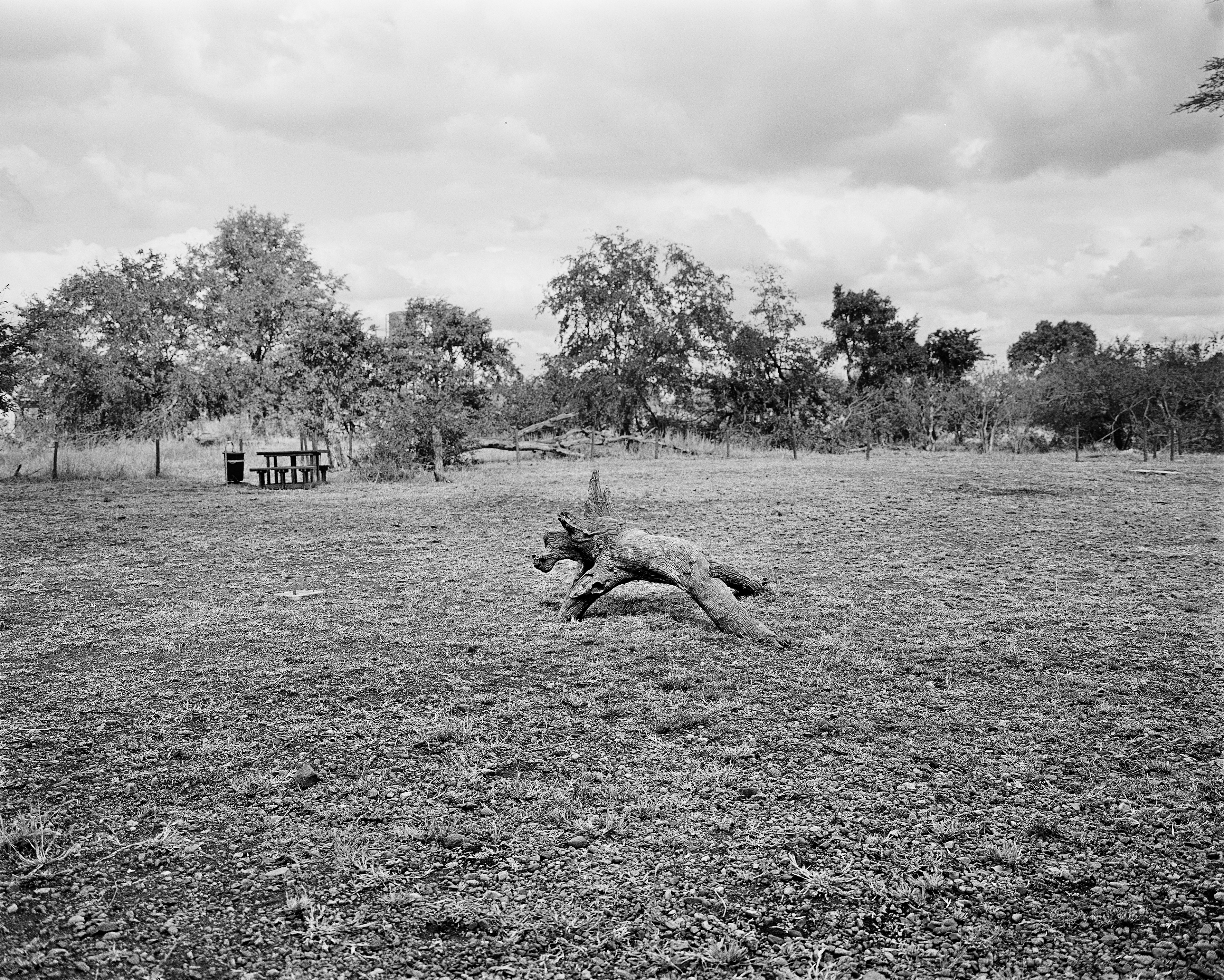  - A picnic place, Kruger National Park, 2015