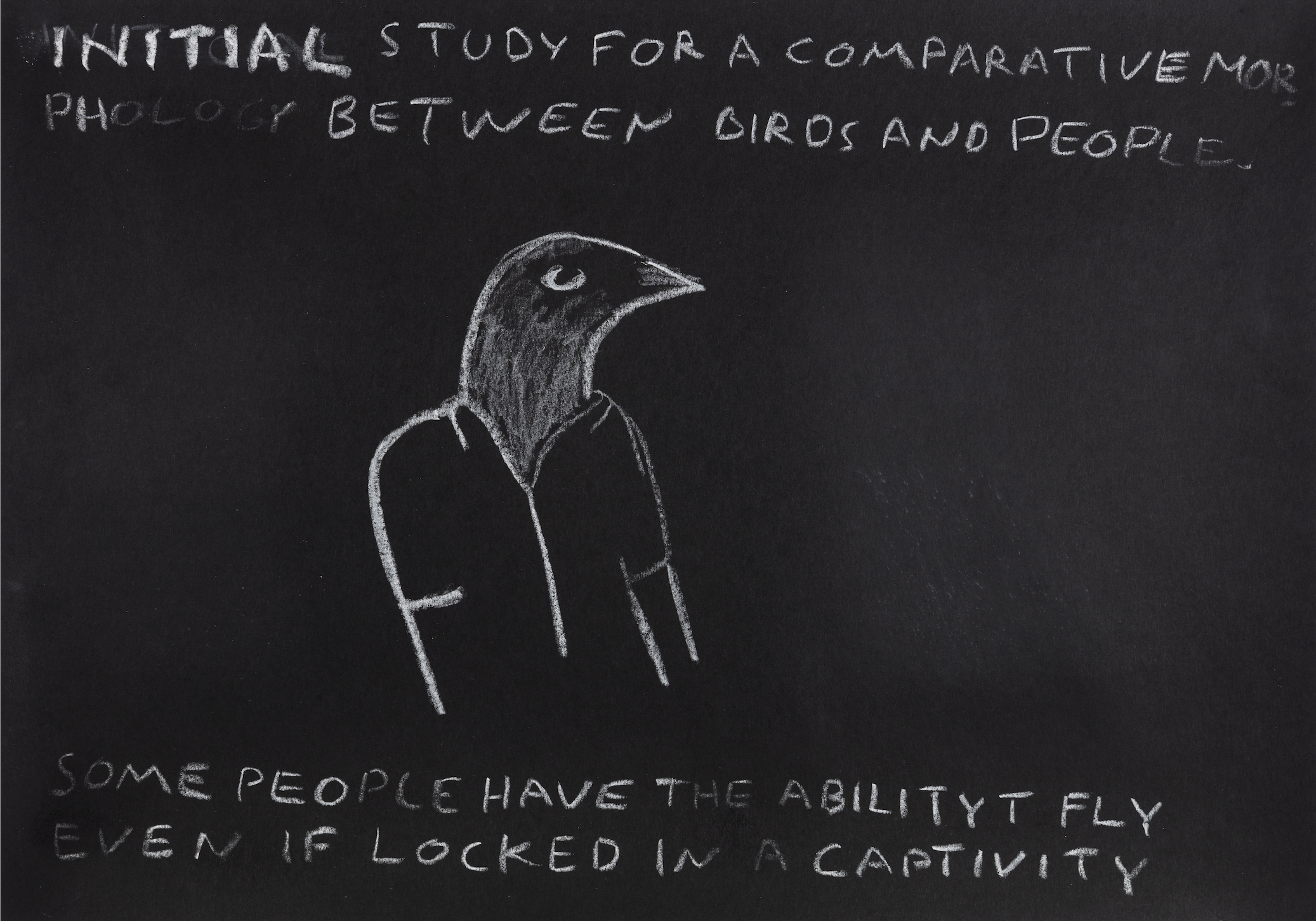 Paulo Nazareth - INITIAL STUDY FOR A COMPARATIVE MORPHOLOGY BETWEEN BIRDS AND PEOPLE [Some people have the ability t fly even if locked in a captivity], 2021
