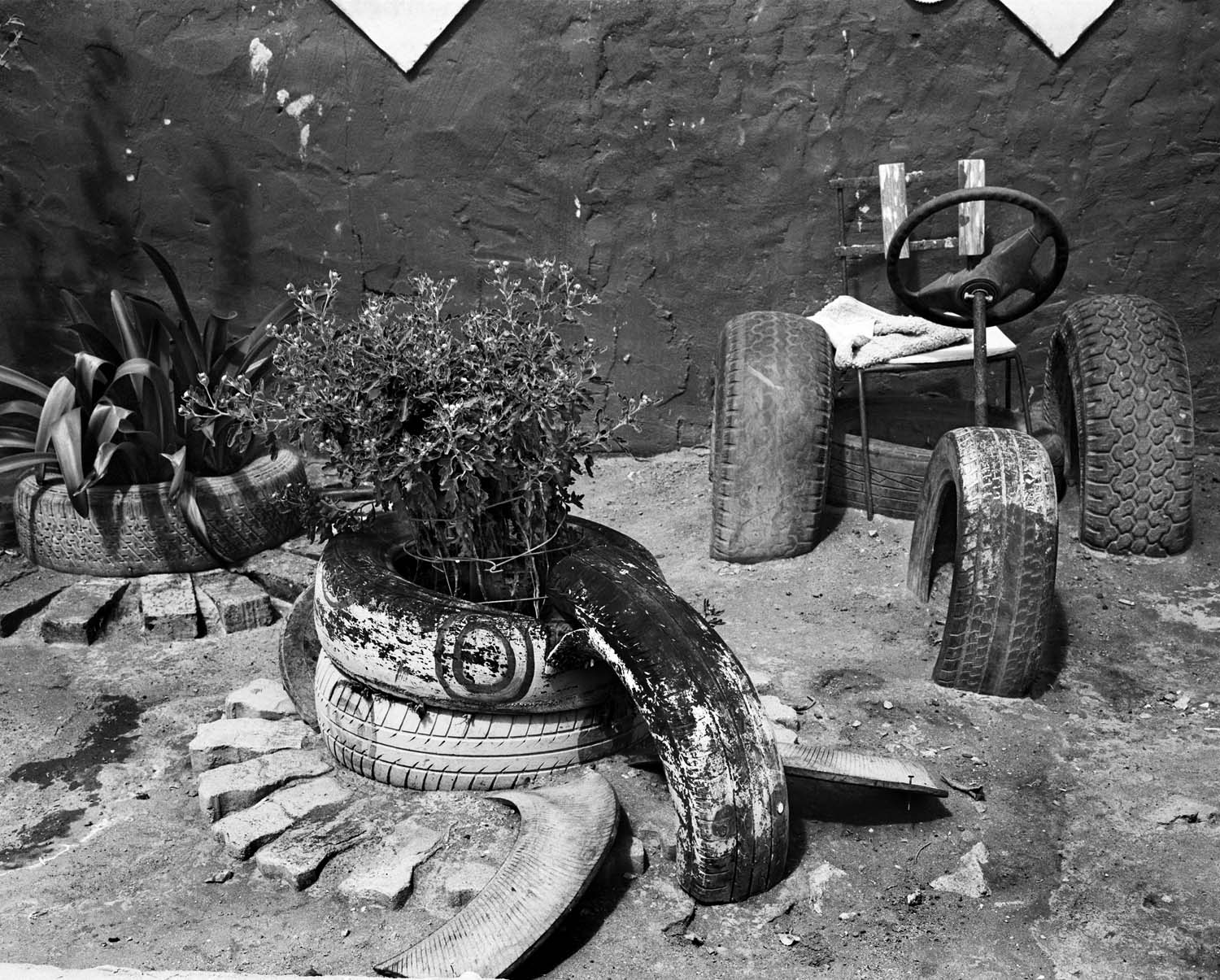  - Mariska Prins’ garden, Doringbaai VIII, 2026