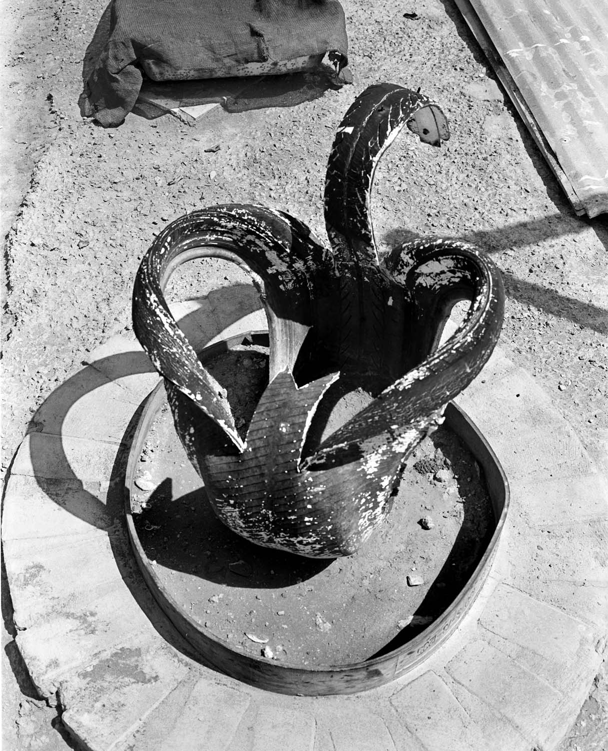  - Mariska Prins’ garden, Doringbaai VII, 2026