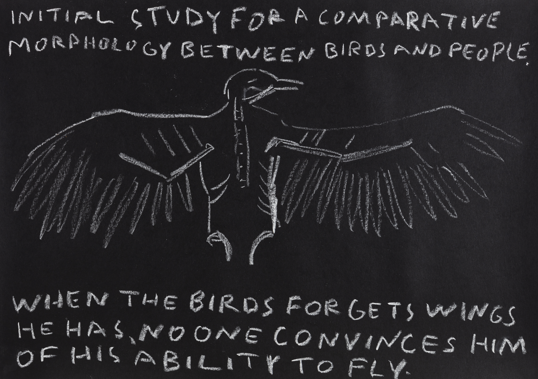 Paulo Nazareth - INITIAL STUDY FOR A COMPARATIVE MORPHOLOGY BETWEEN BIRDS AND PEOPLE [When the birds forgets wings he has no one convinces him of his ability to fly], 2021