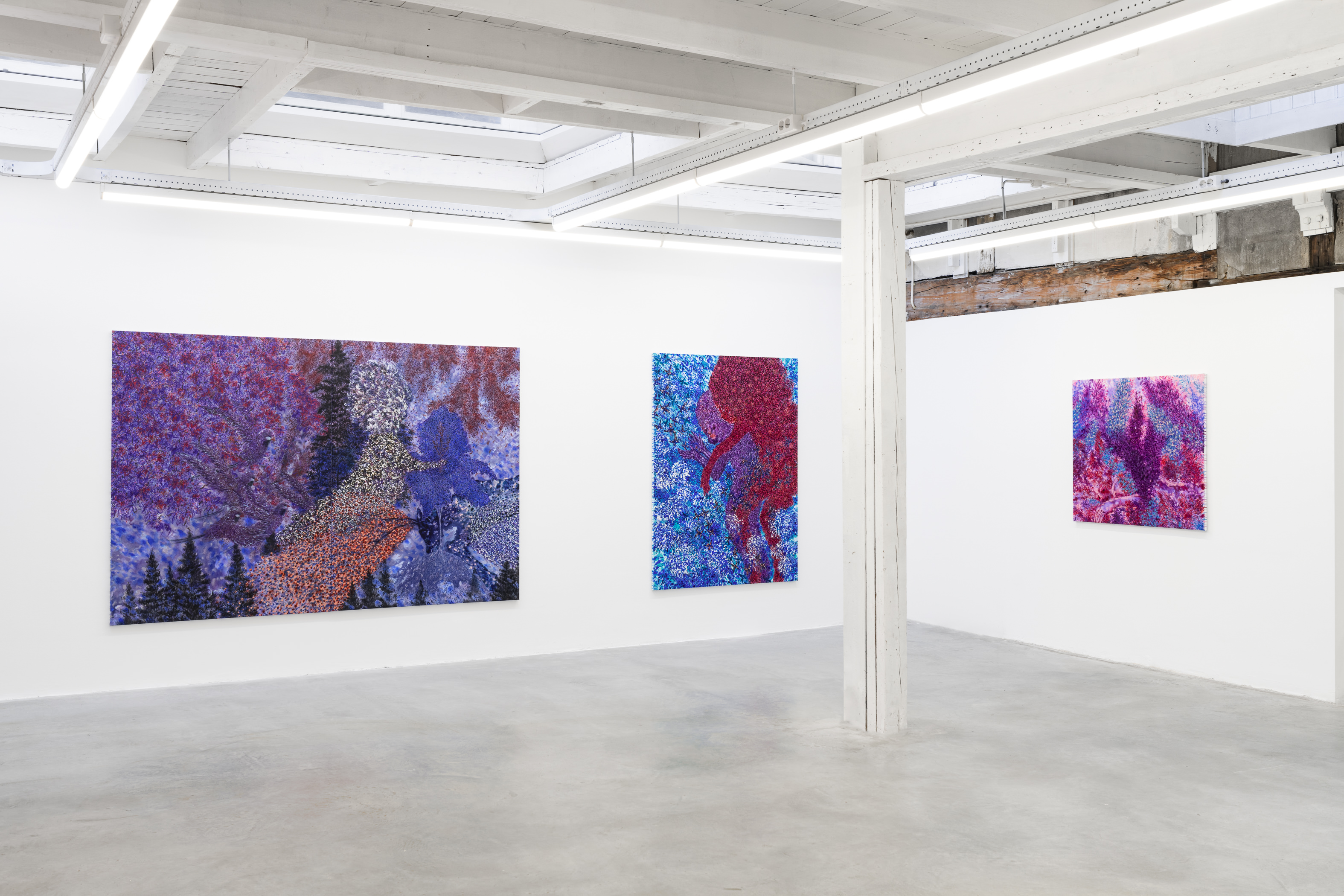 Installation view