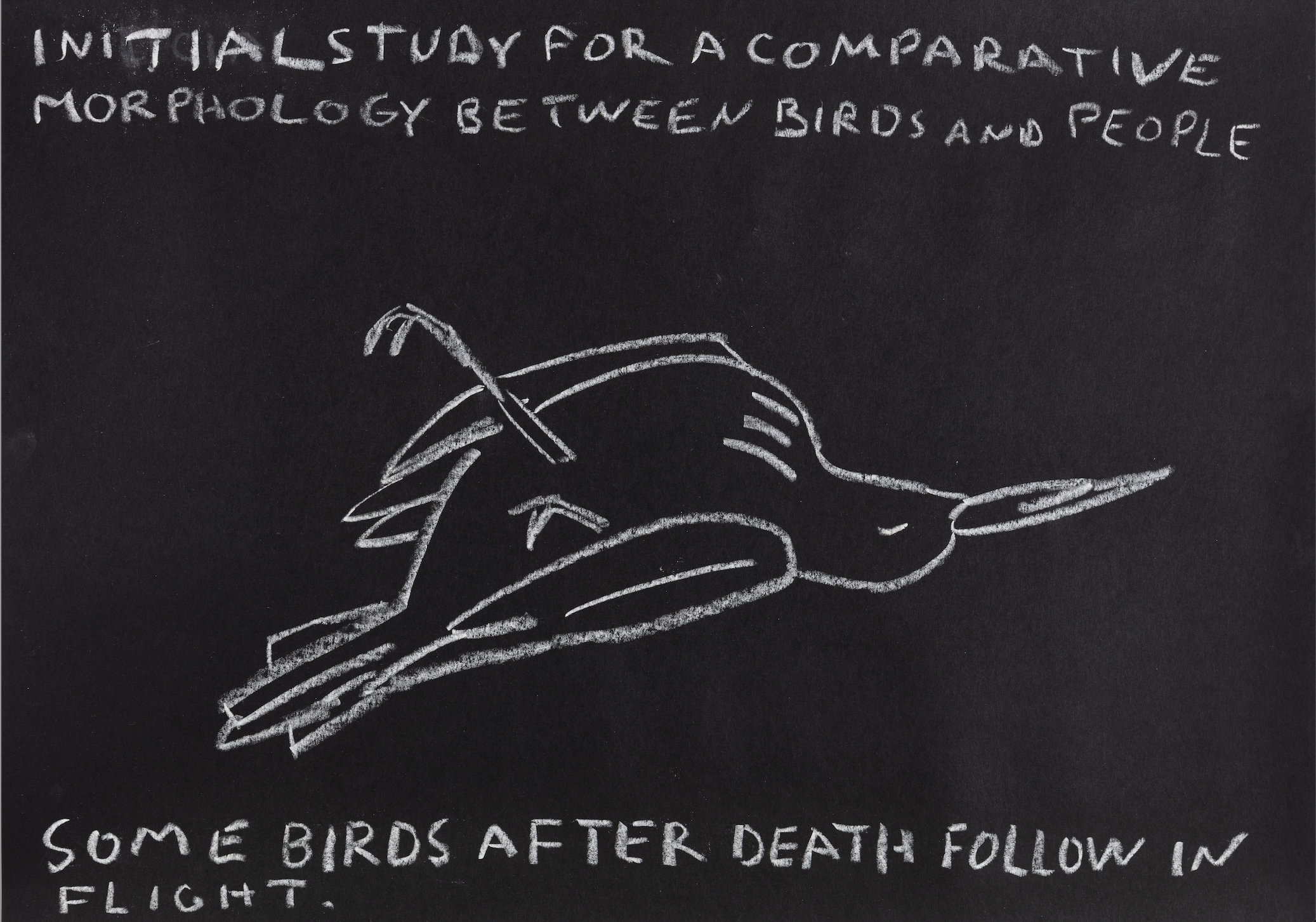 Paulo Nazareth - INITIAL STUDY FOR A COMPARATIVE MORPHOLOGY BETWEEN BIRDS AND PEOPLE [Some birds after death follow in flight], 2021