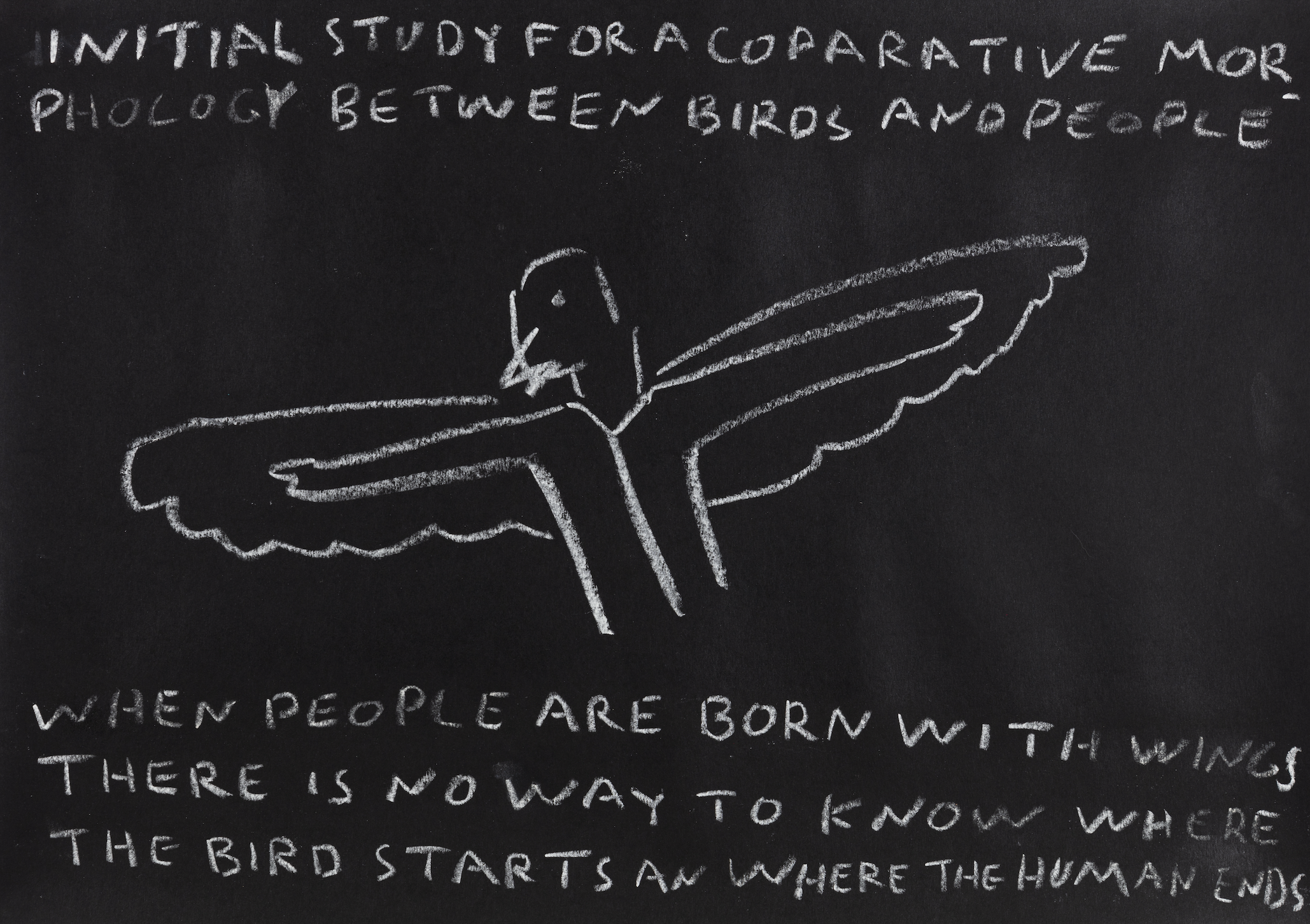 Paulo Nazareth - INITIAL STUDY FOR A COMPARATIVE MORPHOLOGY BETWEEN BIRDS AND PEOPLE [When people are born with wings there is no way to know where the bird starts an where the human ends], 2021