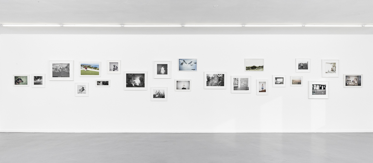 Installation view