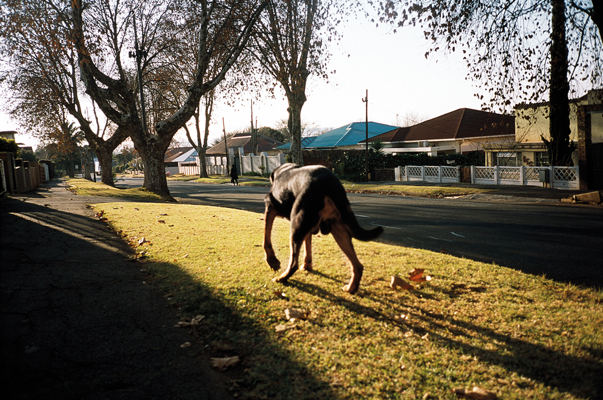  - 12: Bezuidenhout Valley, 