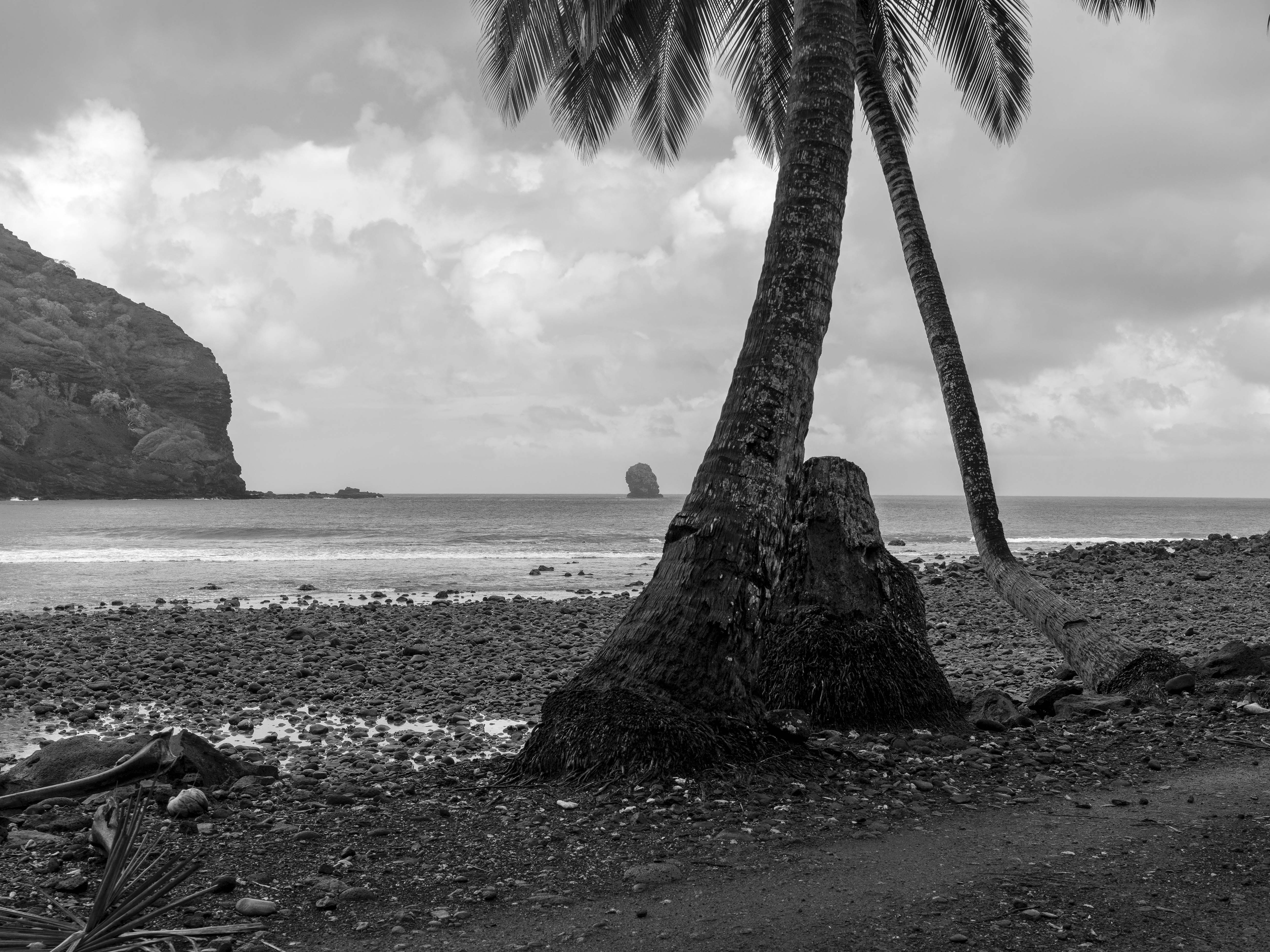 - Hiva Oa, French Polynesia, 2010