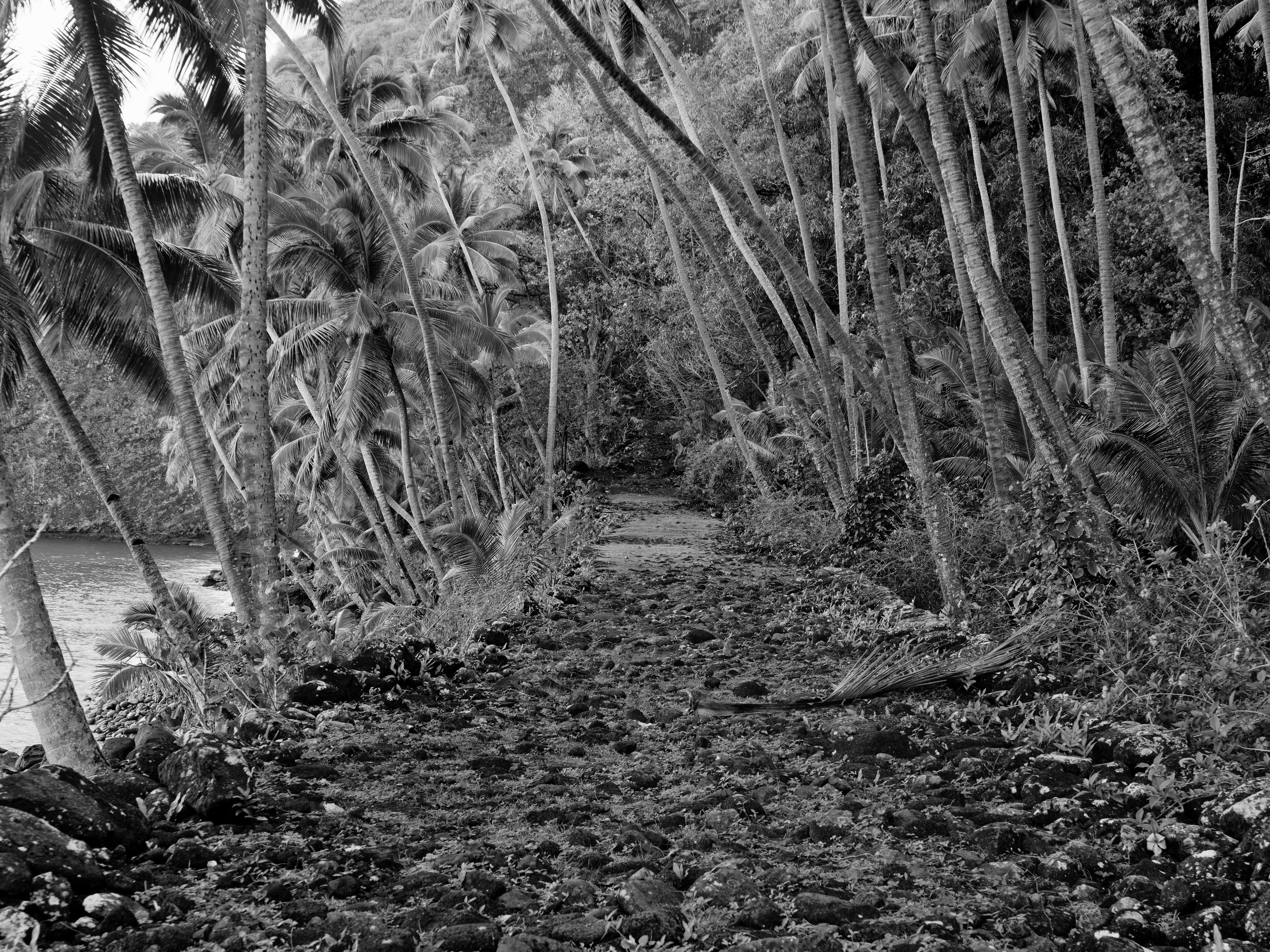  - Hiva Oa, French Polynesia, 2010