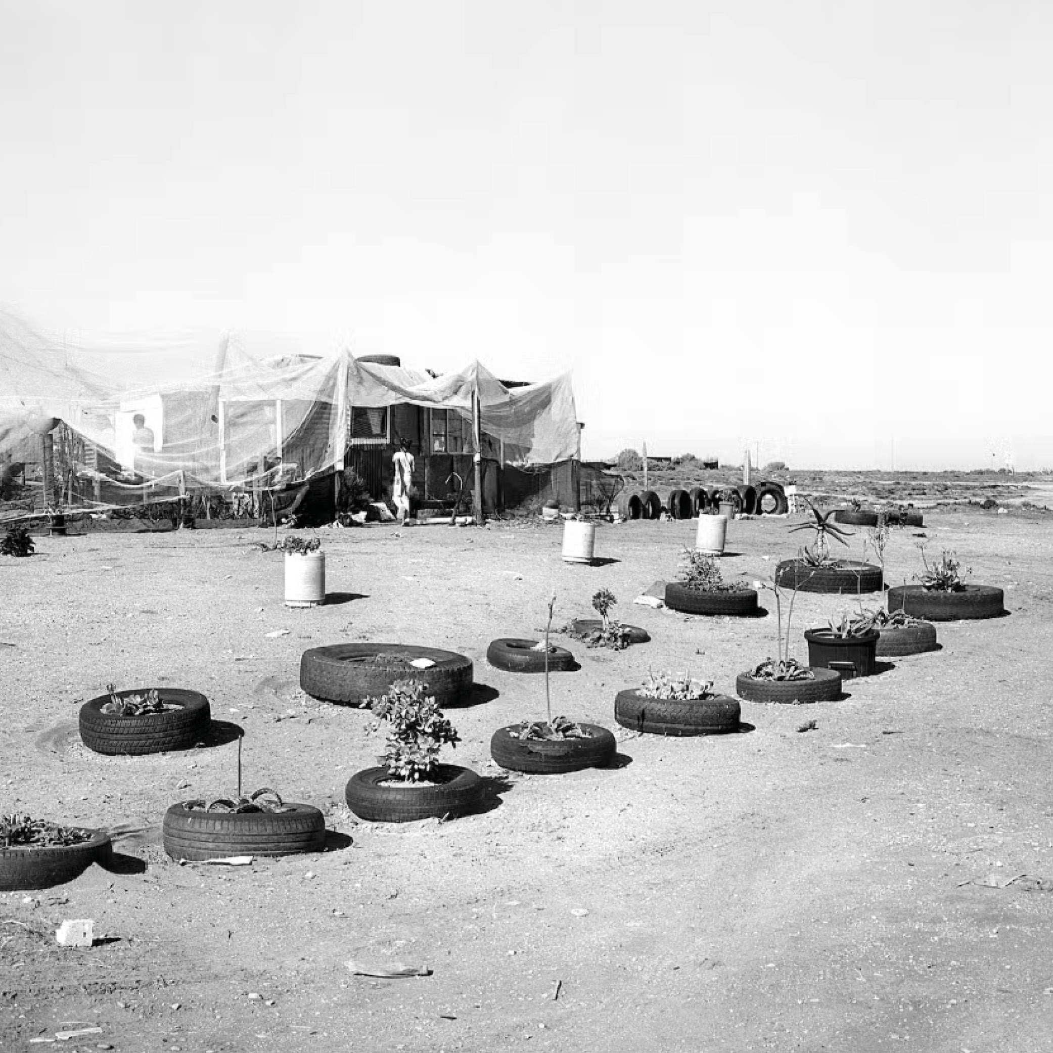 'Out of Place' Exhibition Review