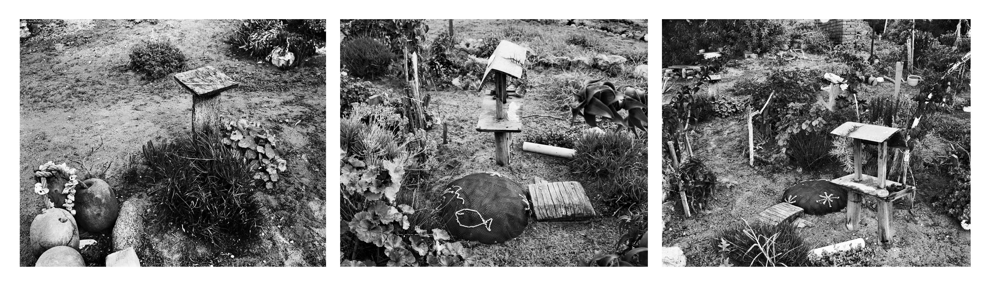  - Lynette Losper's garden path, St Helena Bay I, II & III, 2024