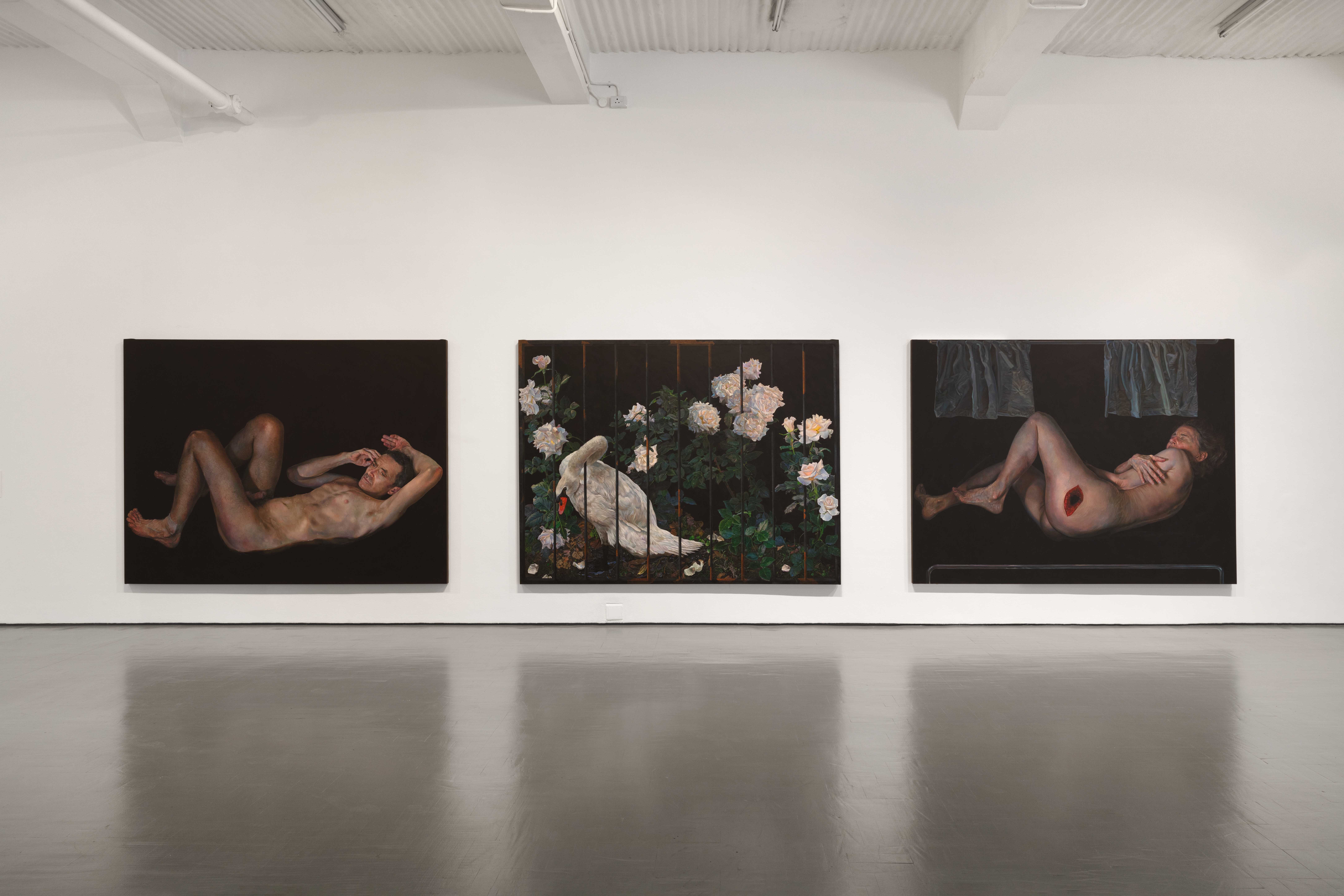 Installation view