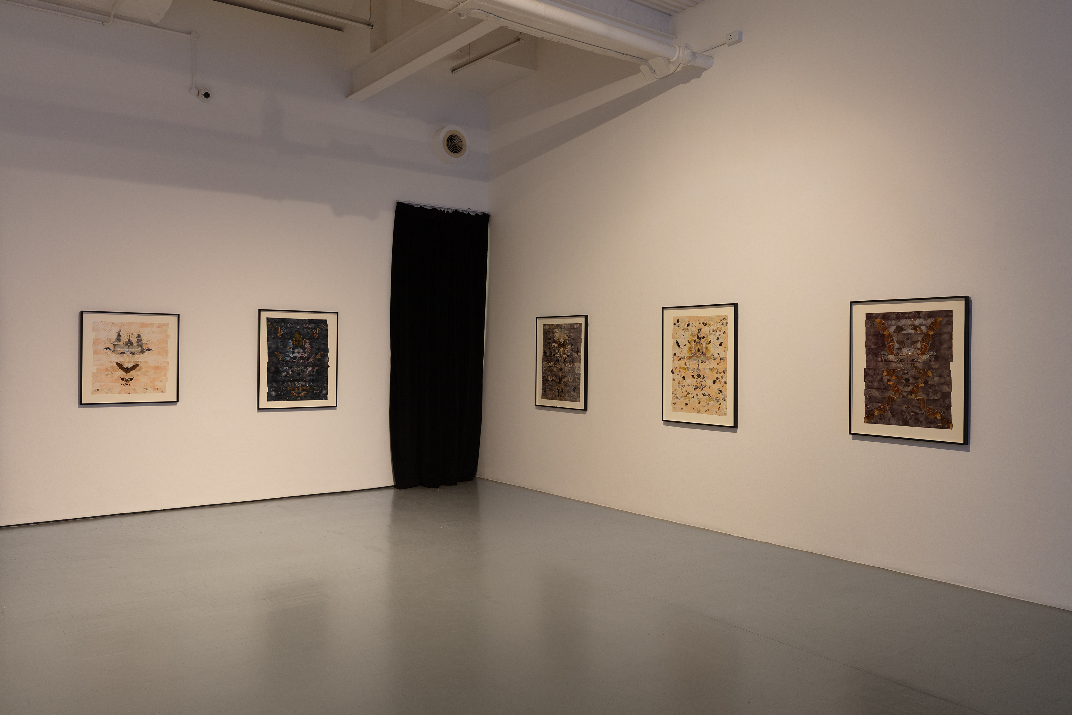 Installation view