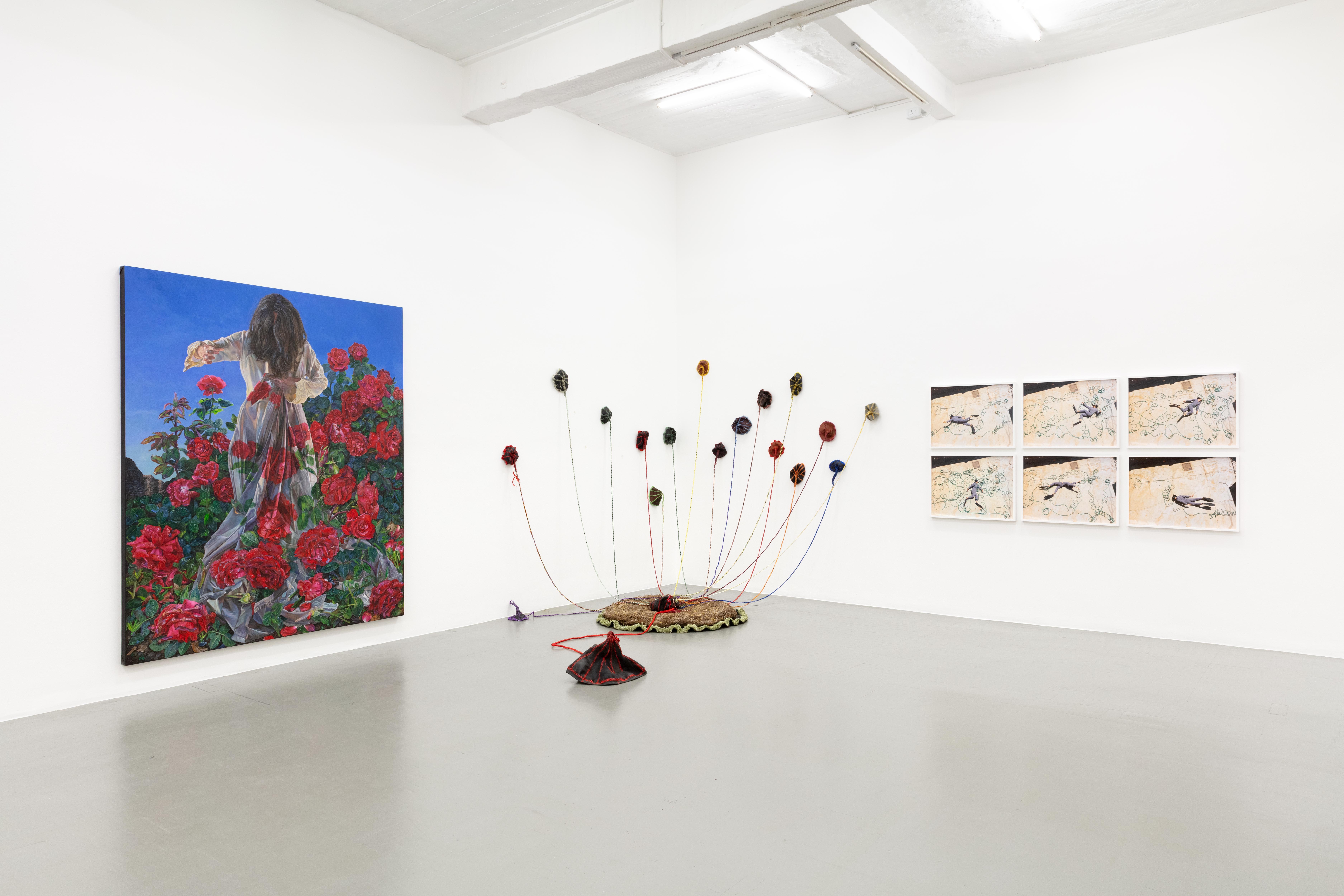 Installation view