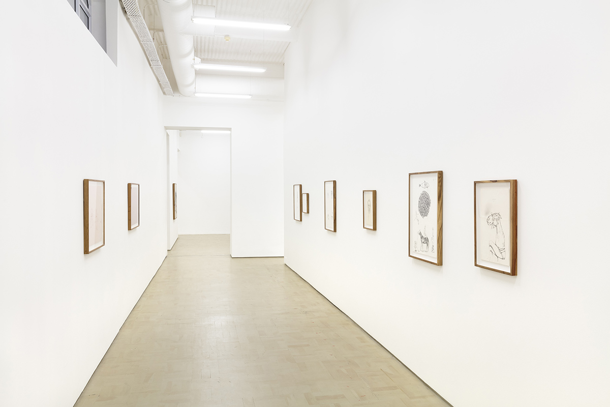 Installation view