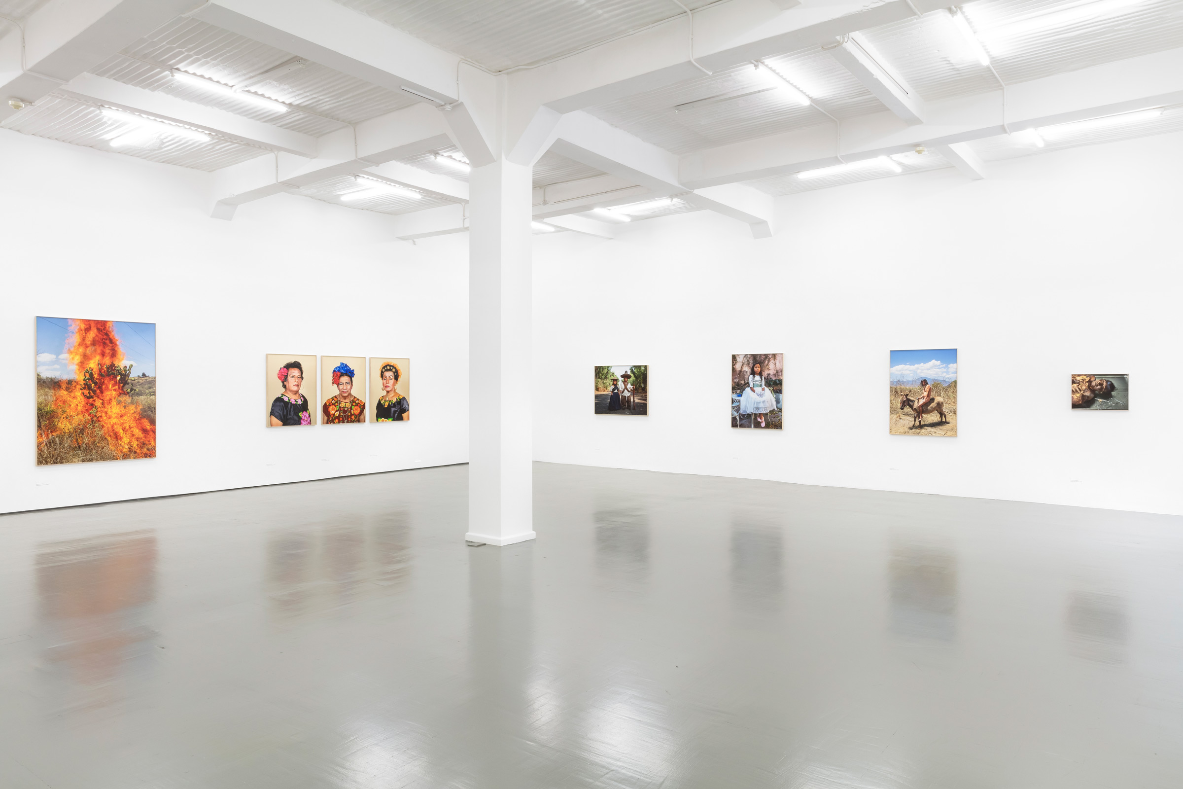 Installation view