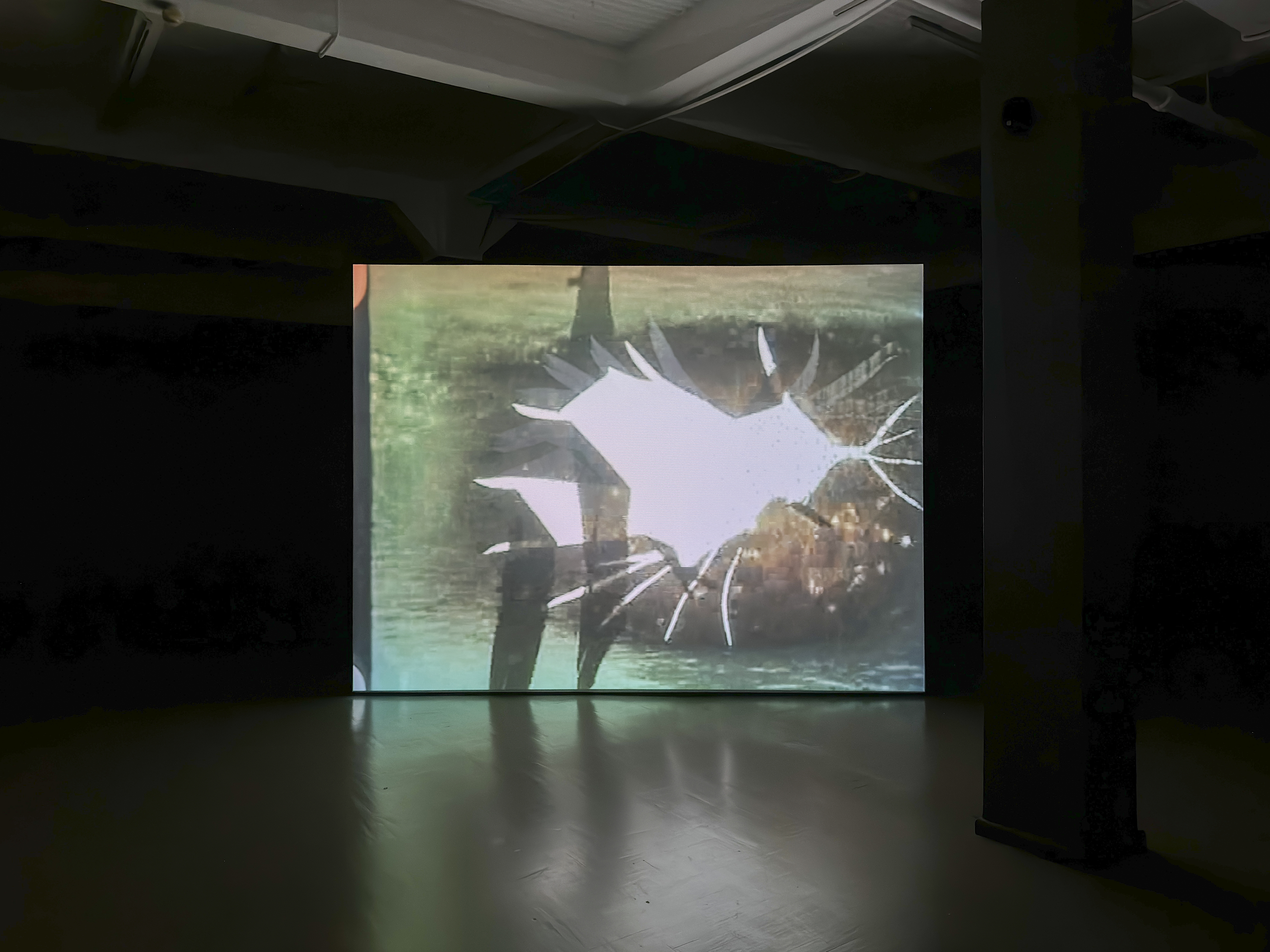 Installation view, Celluloid Body 