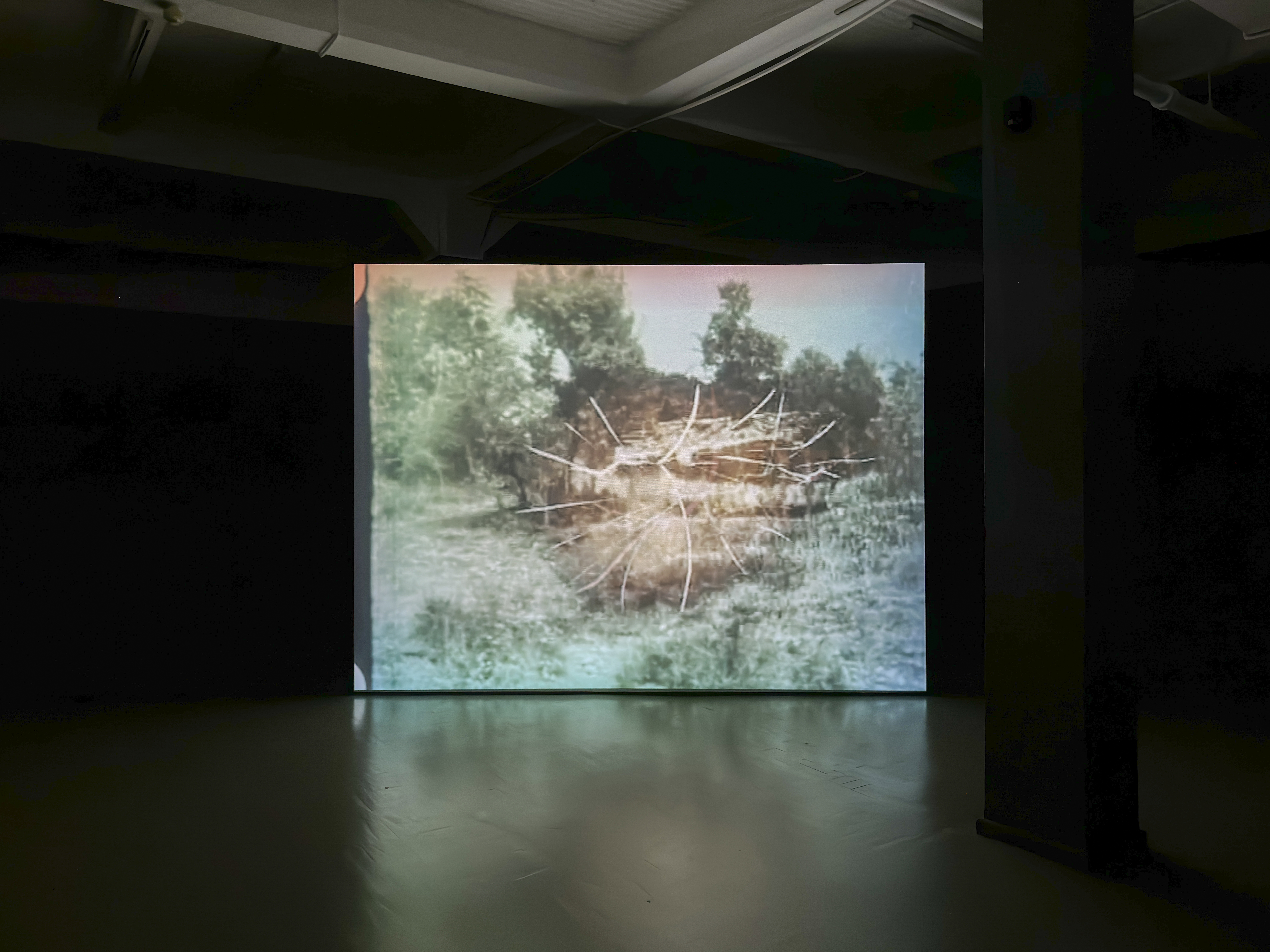 Installation view, Celluloid Body 
