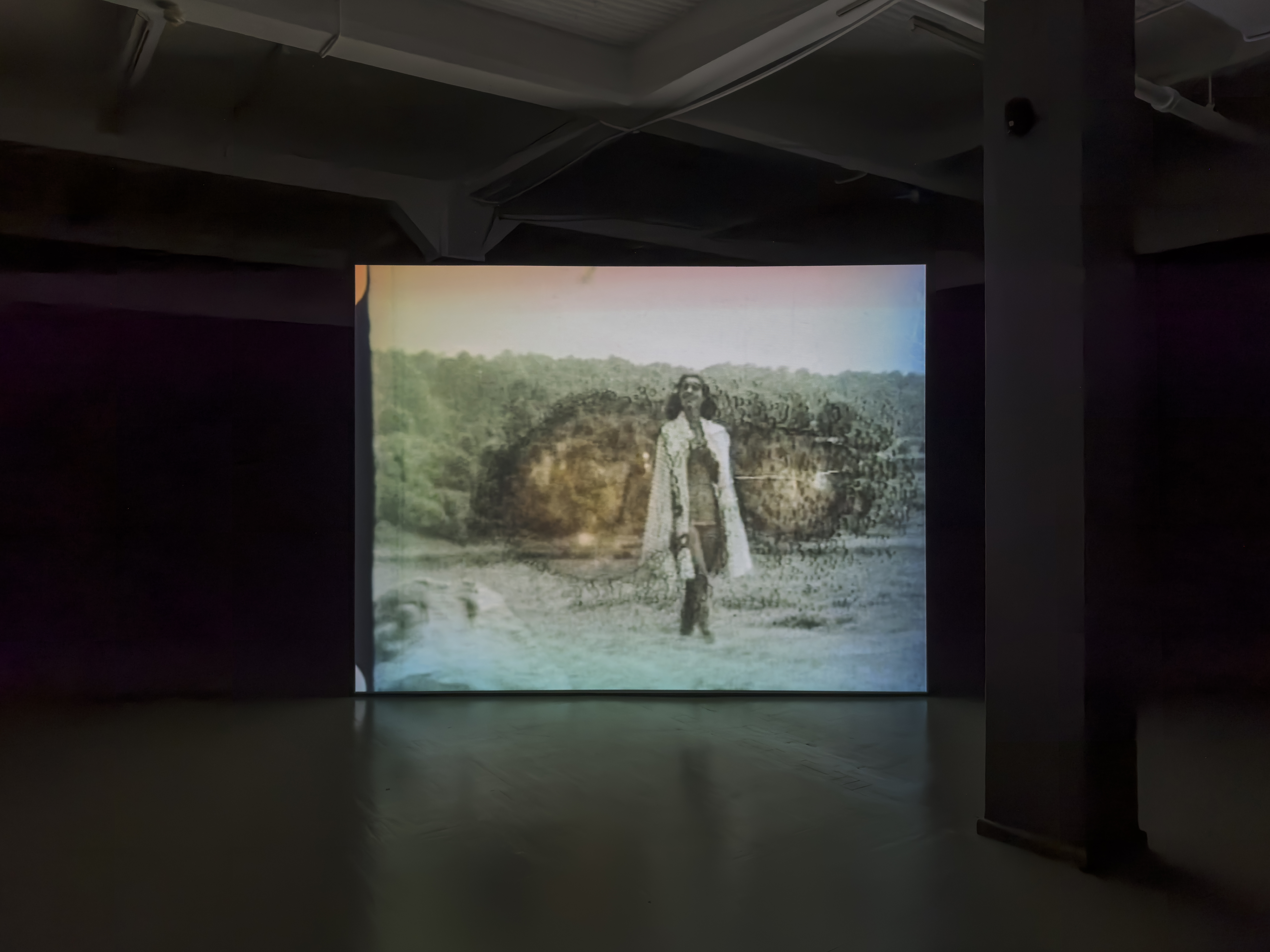 Installation view, Celluloid Body