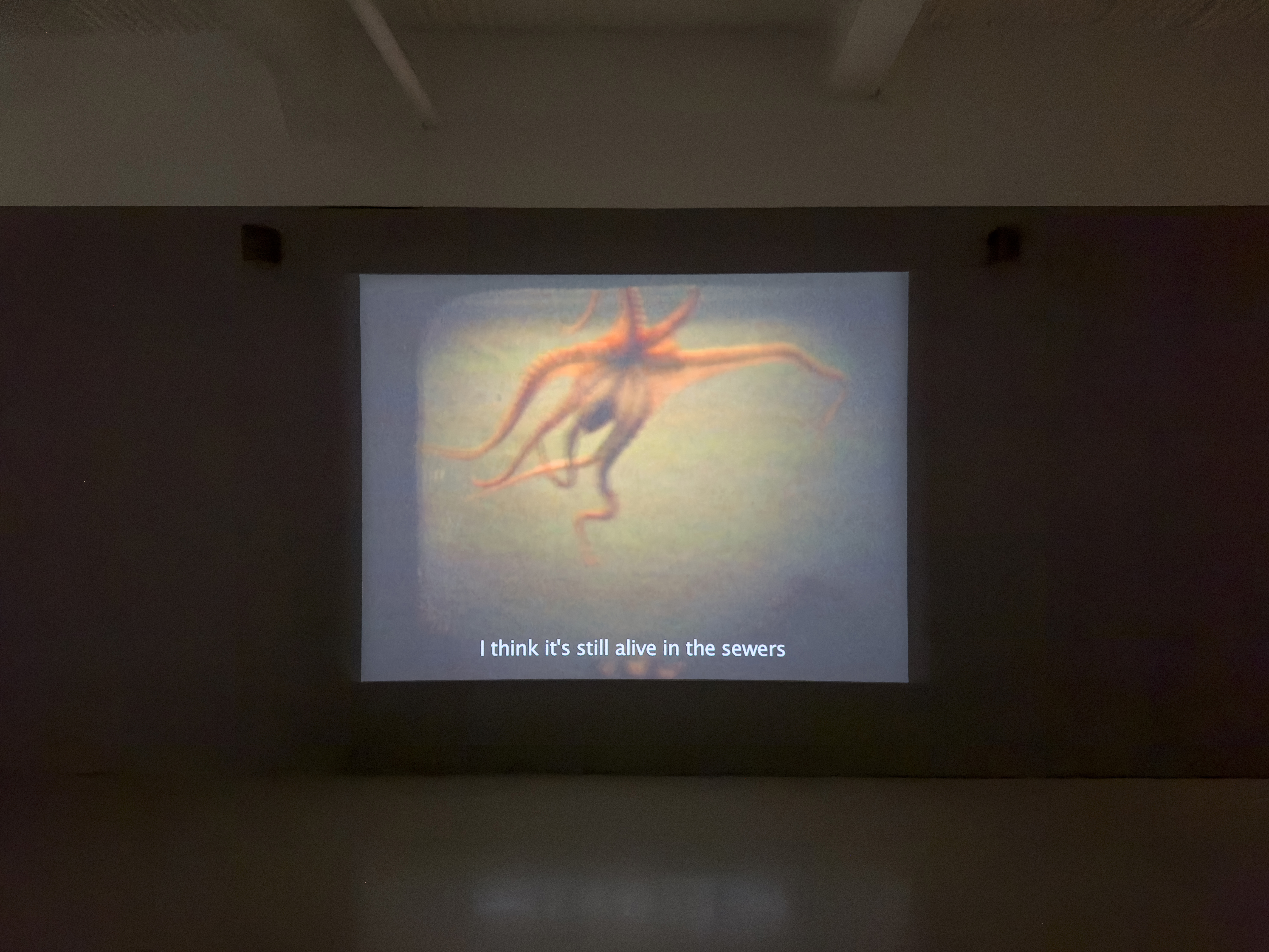 Installation view, Obscure White Messenger