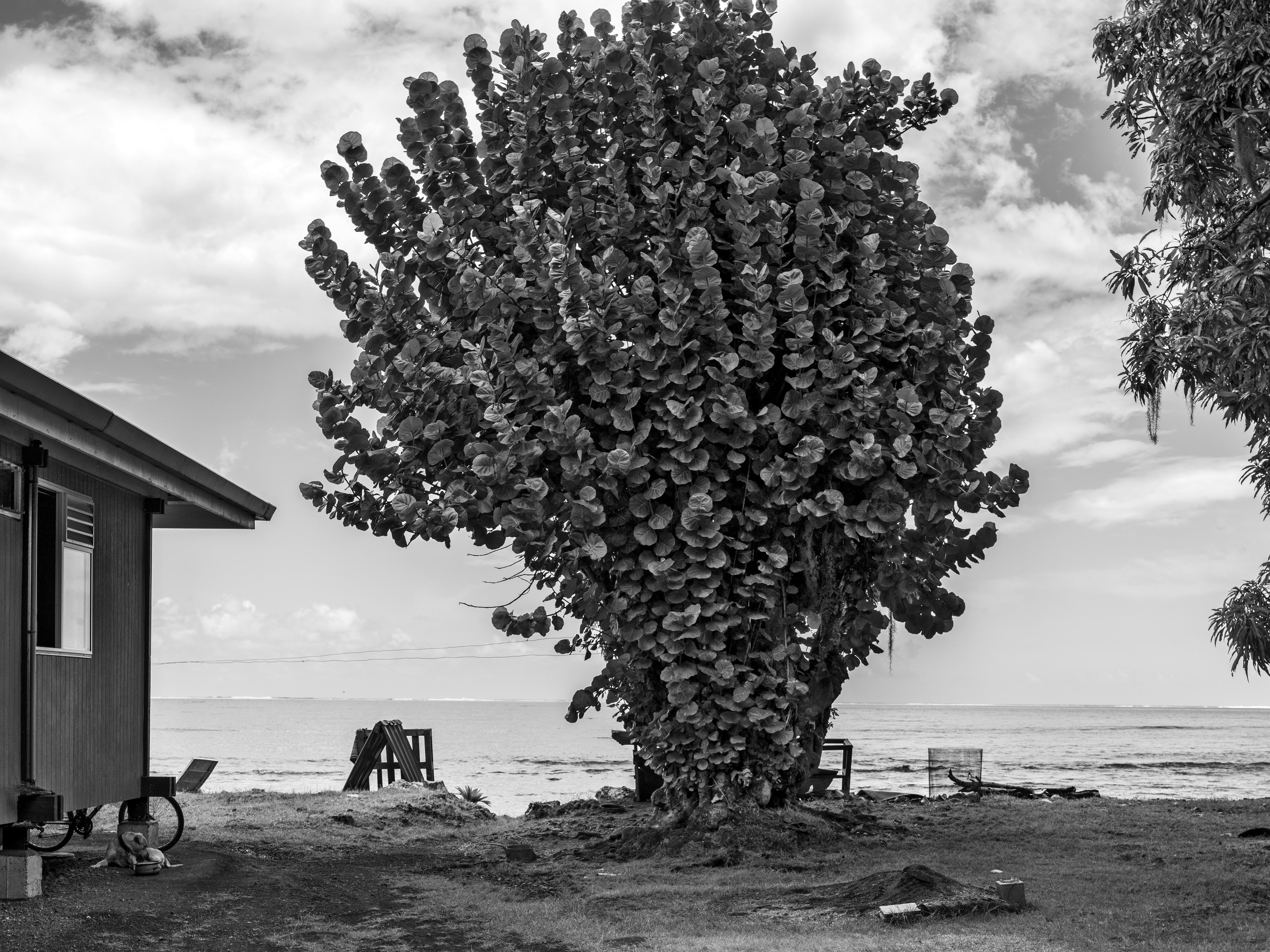  - Mo'orea, French Polynesia, 2010