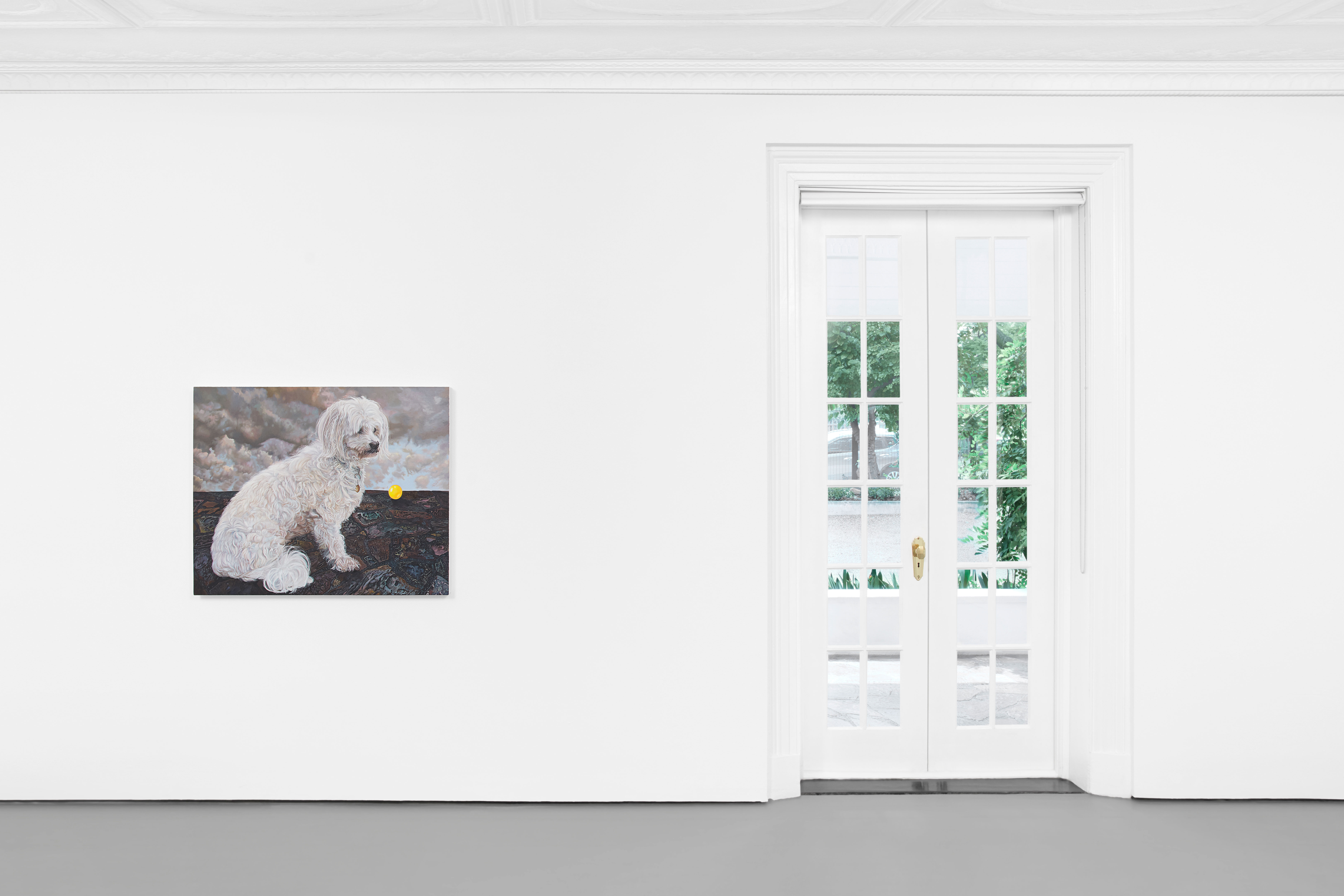 Installation view