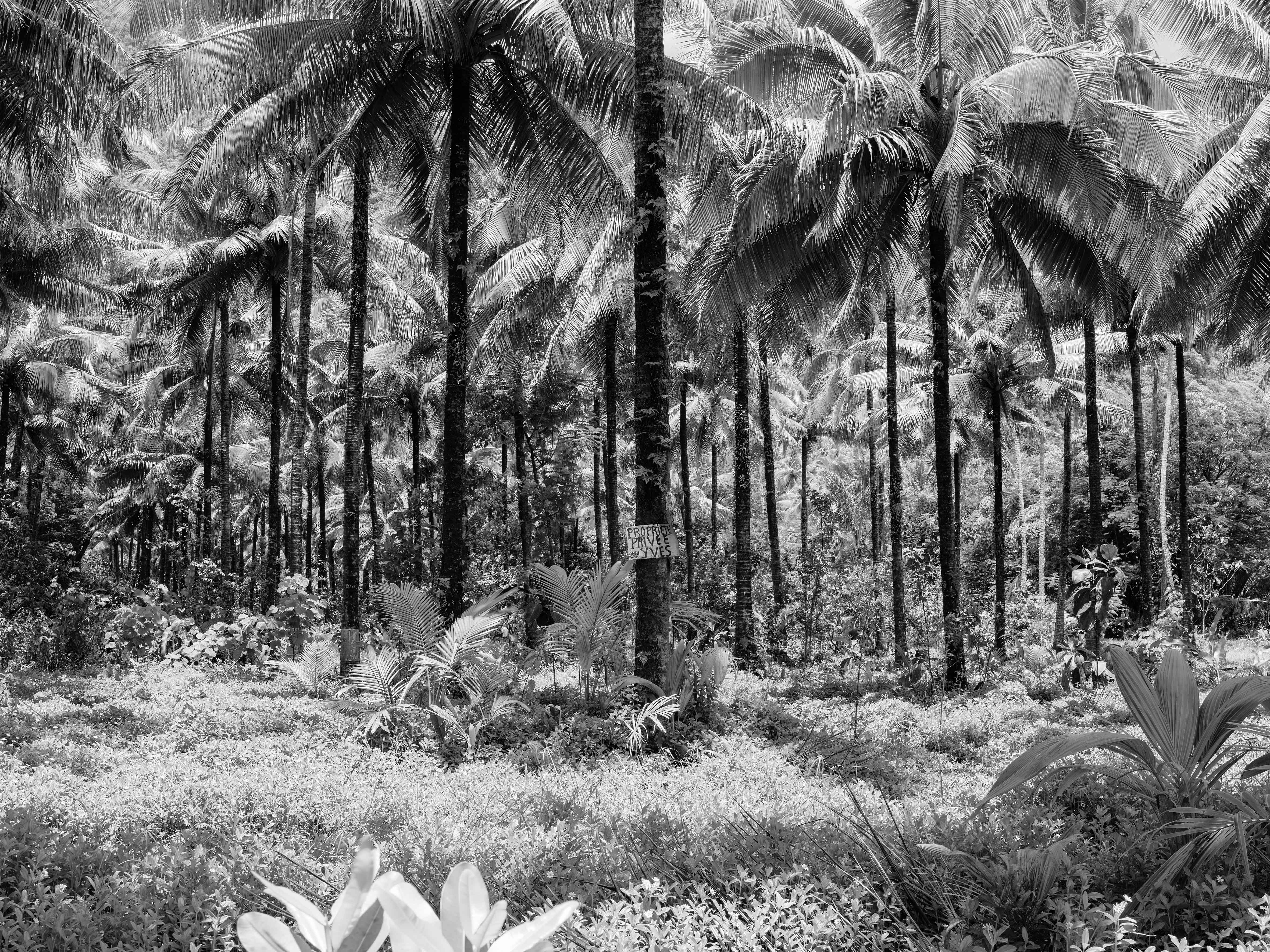  - Tahiti, French Polynesia, 2010