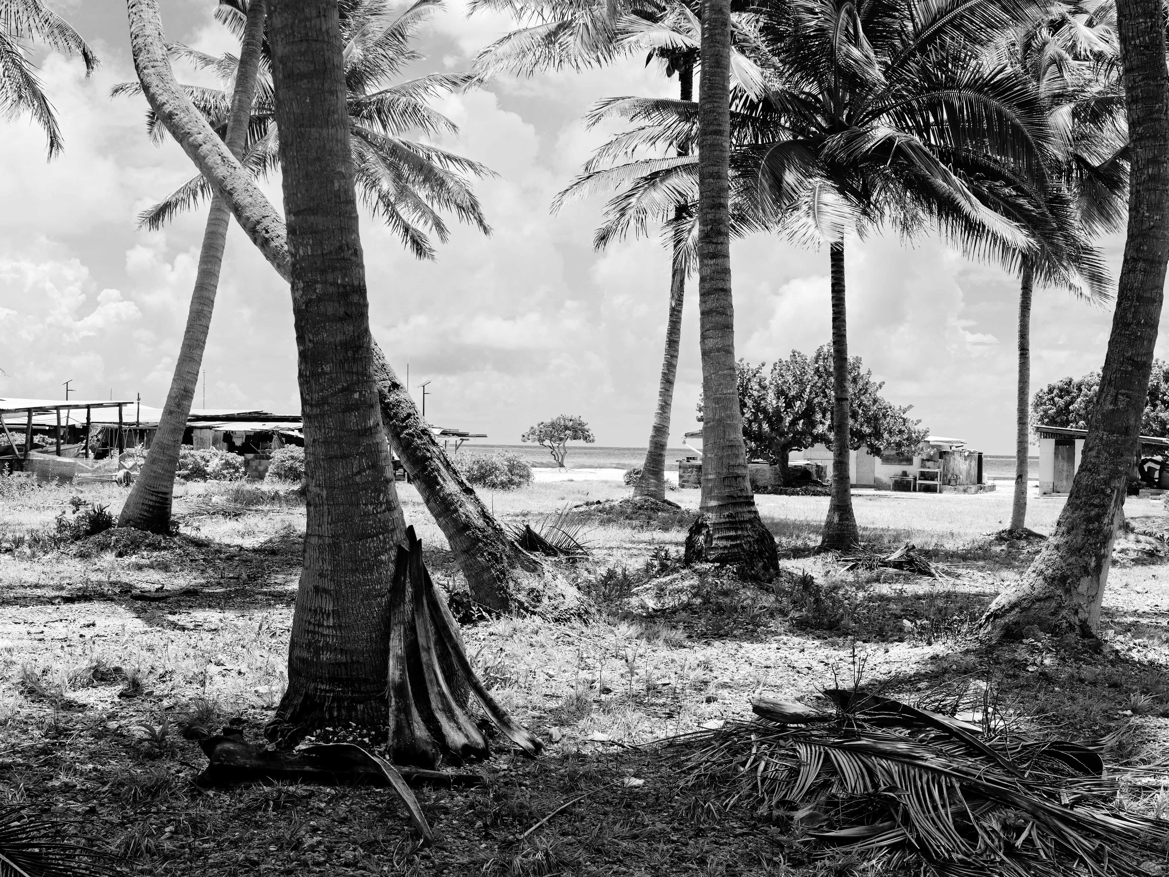  - Tikehau, French Polynesia, 2010