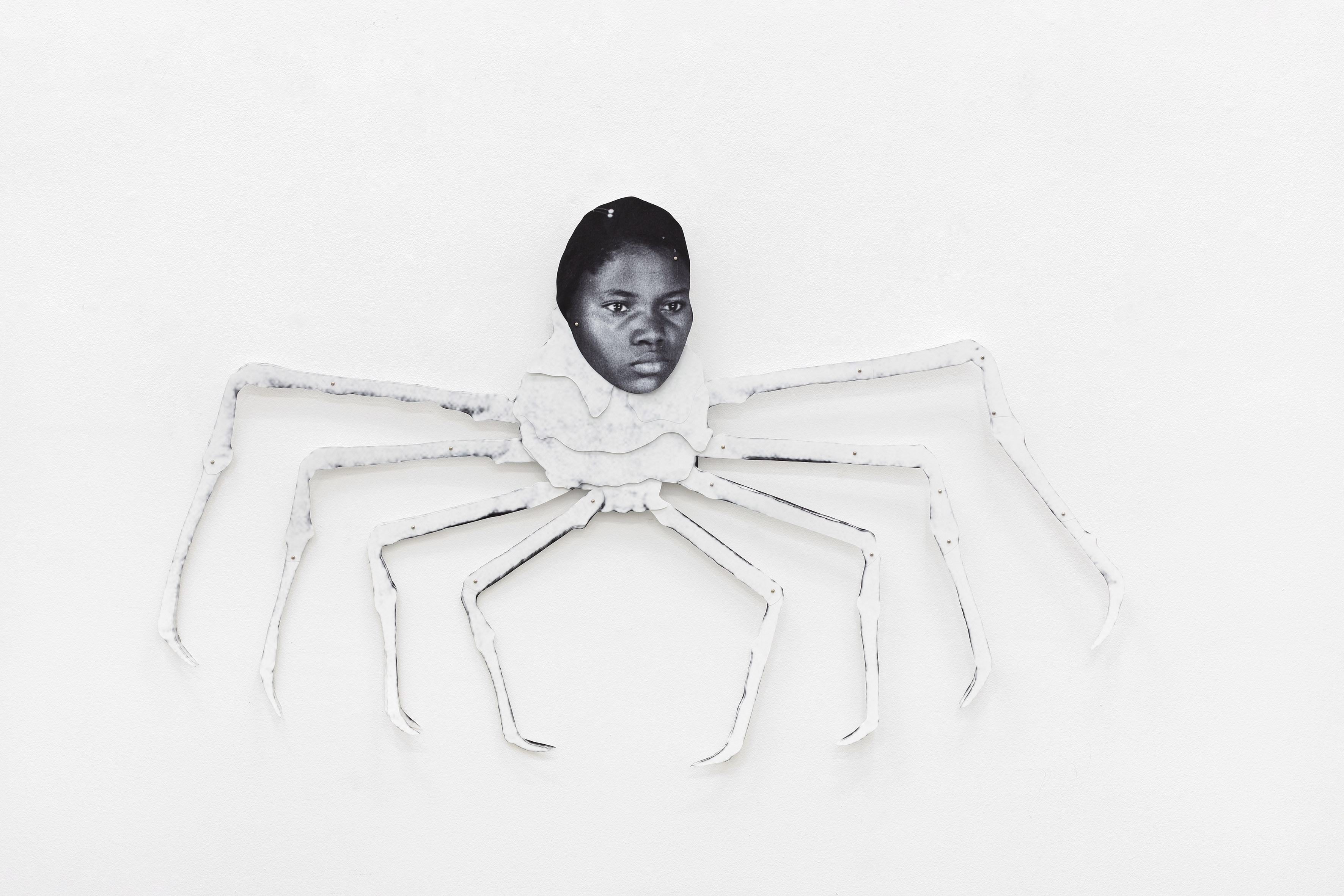  - Untitled (Spider II), 2022