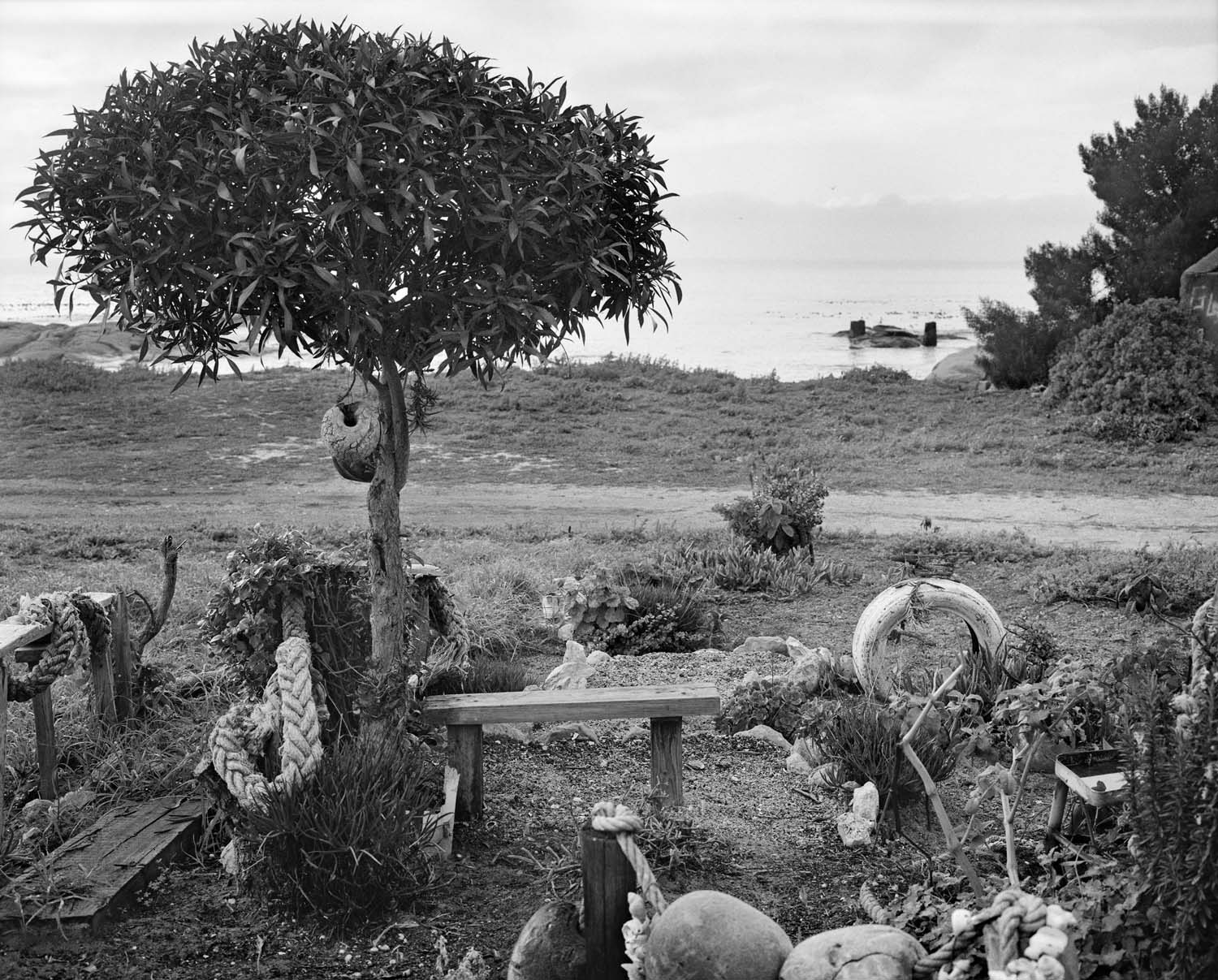  - Lynette Losper's garden, St Helena Bay I, 2024