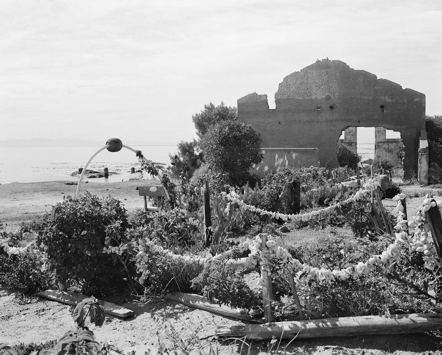  - Lynette Losper's garden, St Helena Bay III, 2024