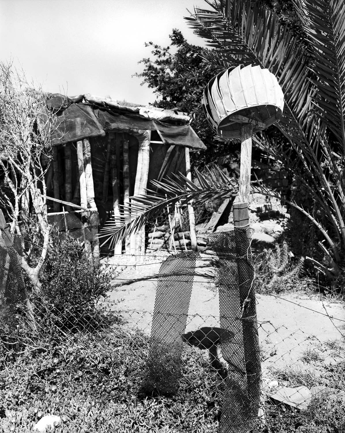  - Abraham Apies’ garden ‘fairy-tales’, Hondeklipbaai lV, 2025