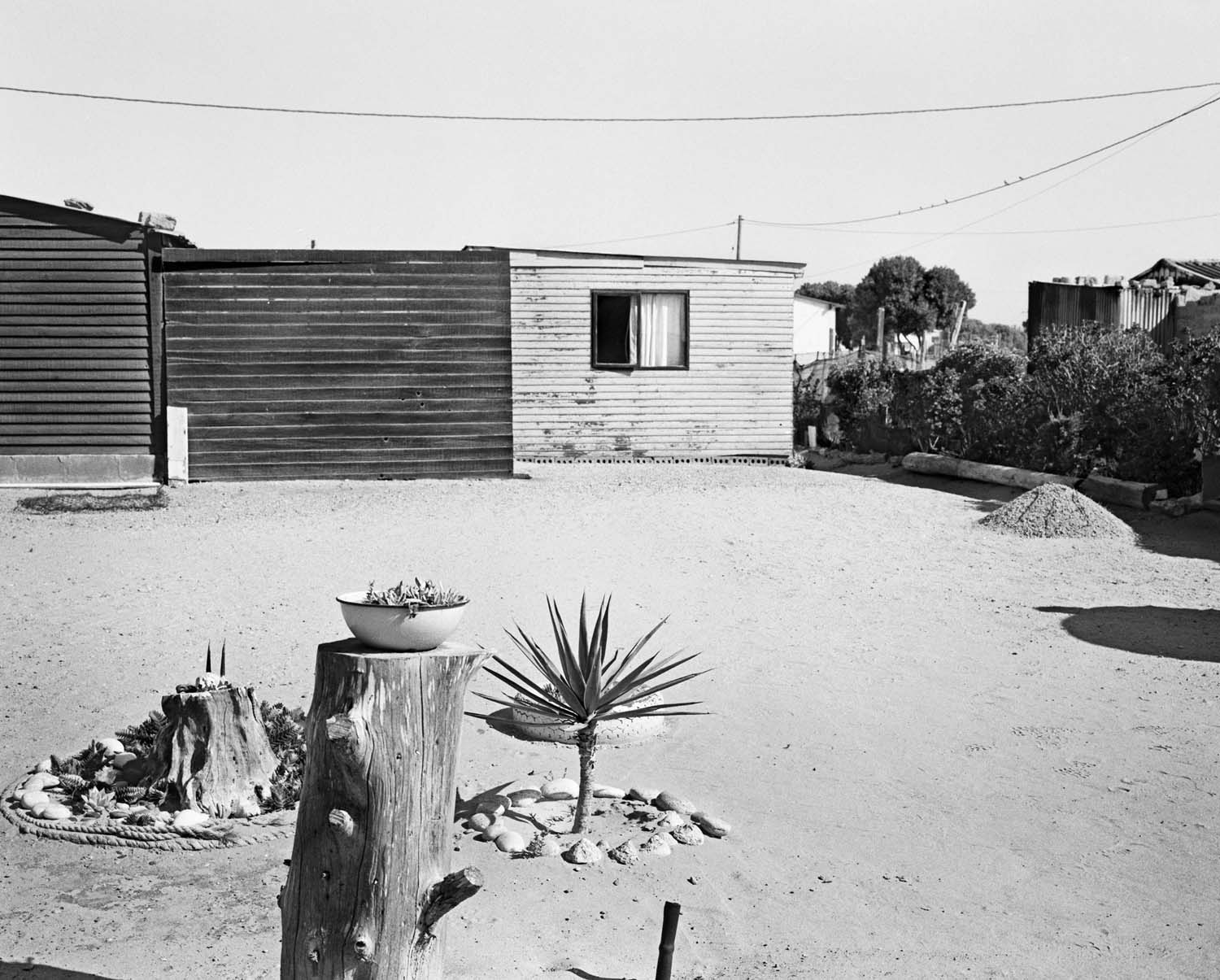  - Lena de Klerk’s front yard, Hondeklipbaai, 2025