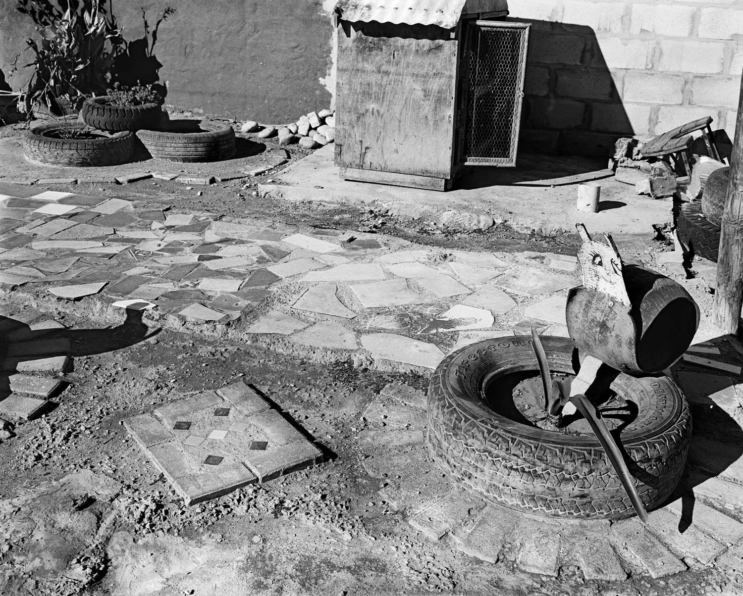  - Mariska Prins’ garden, Doringbaai II, 2026