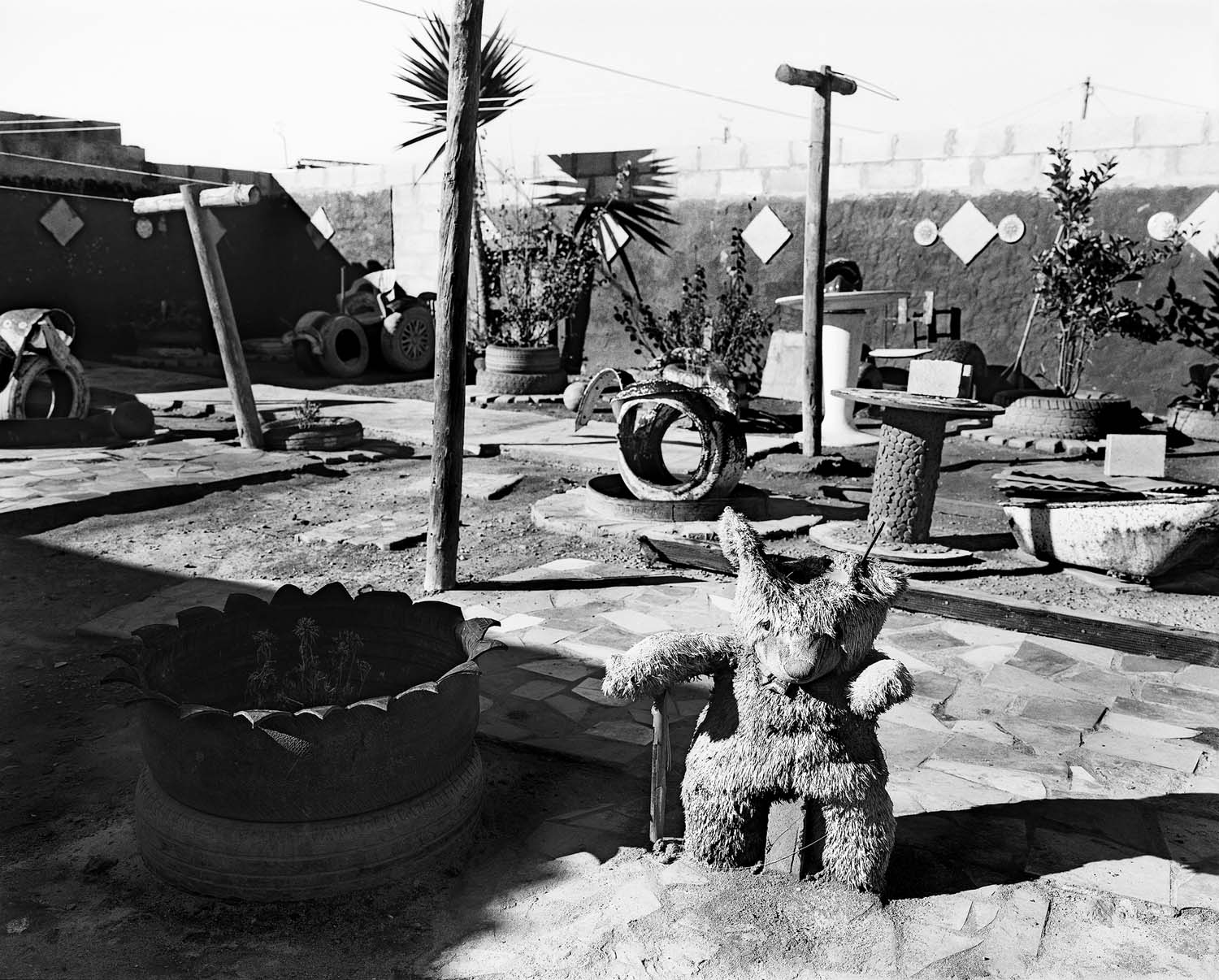  - Mariska Prins’ garden, Doringbaai V, 2026