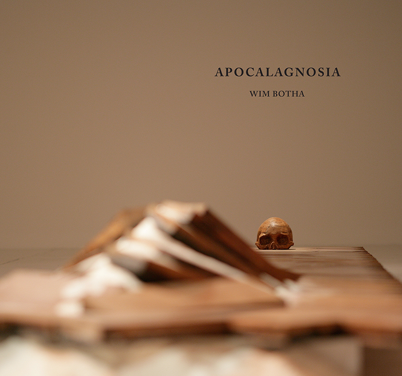 Apocalagnosia