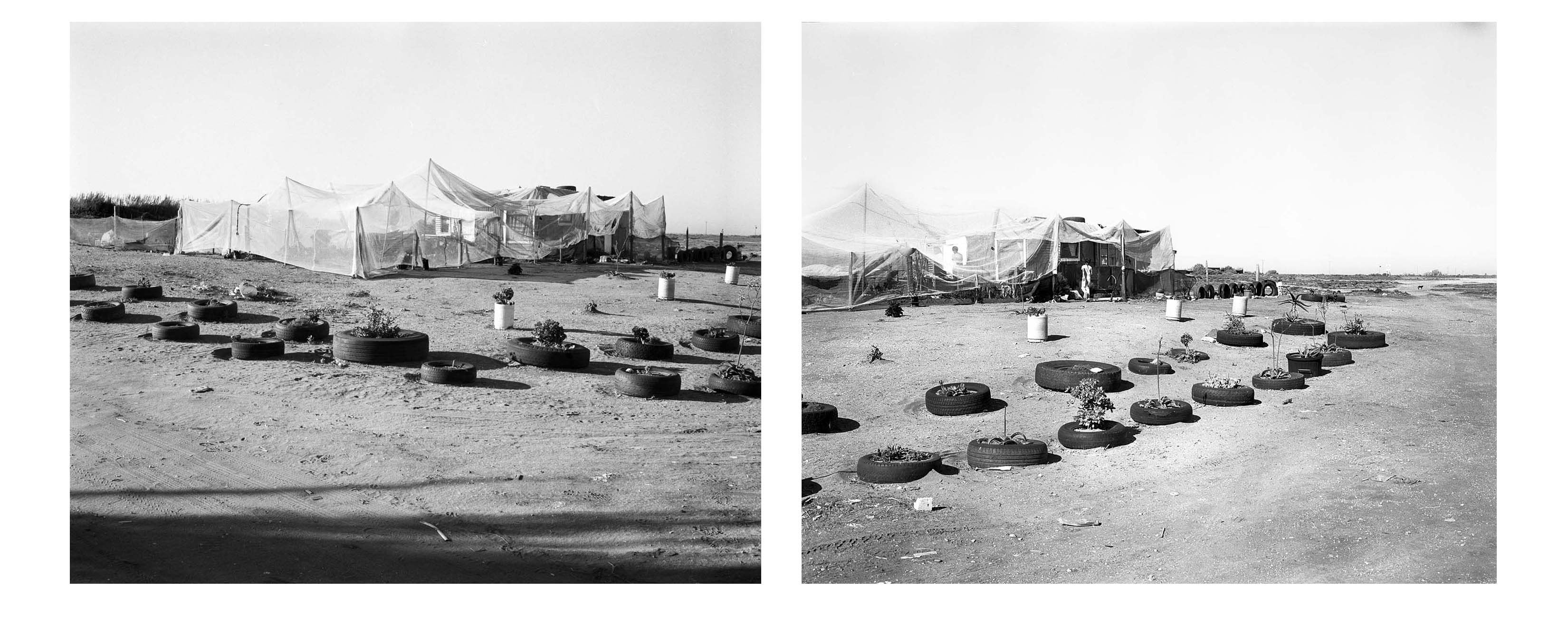  - Jo-Marie Robinson’s house and garden, Doringbaai l & ll, 2025