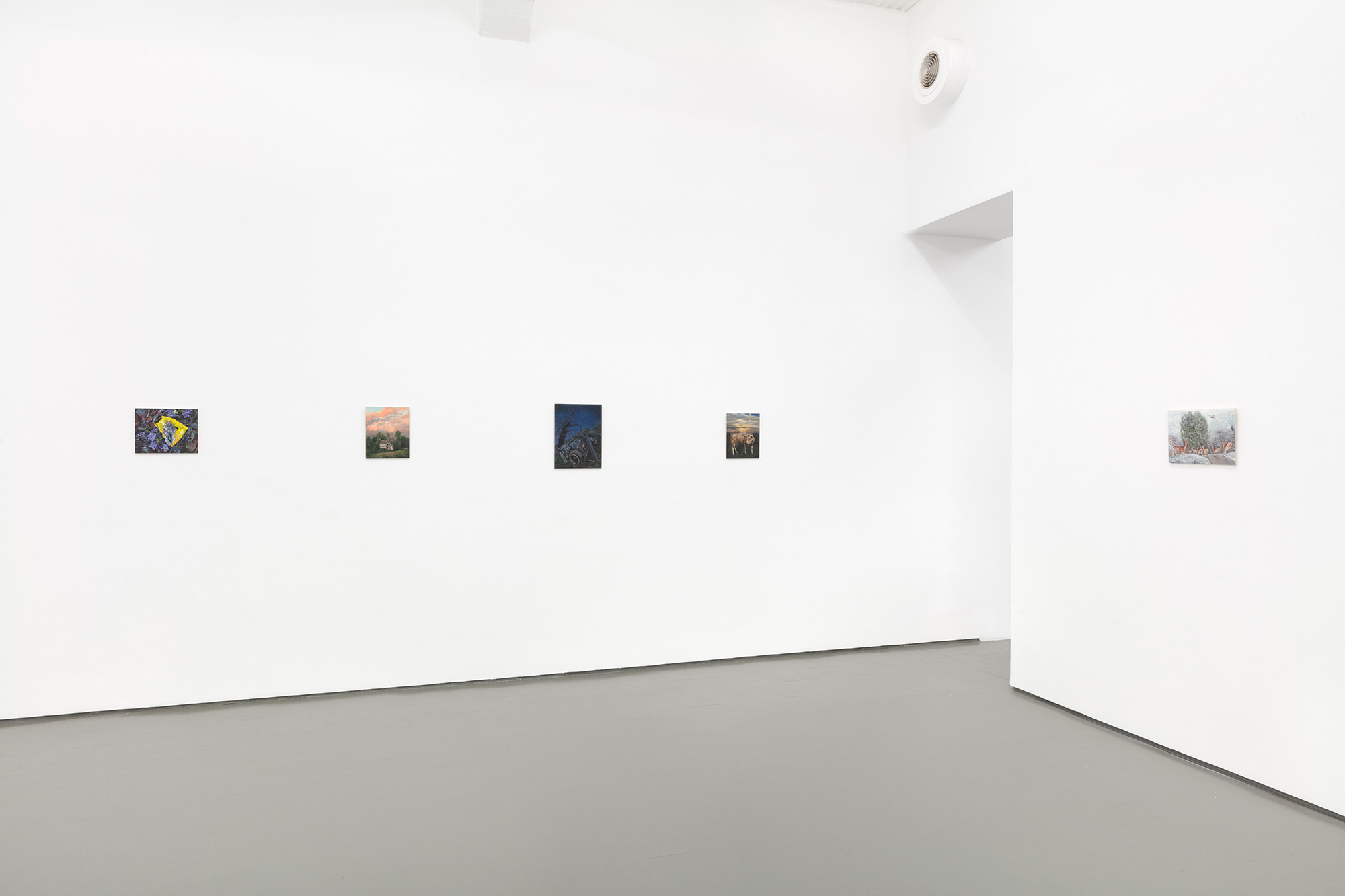 Installation view