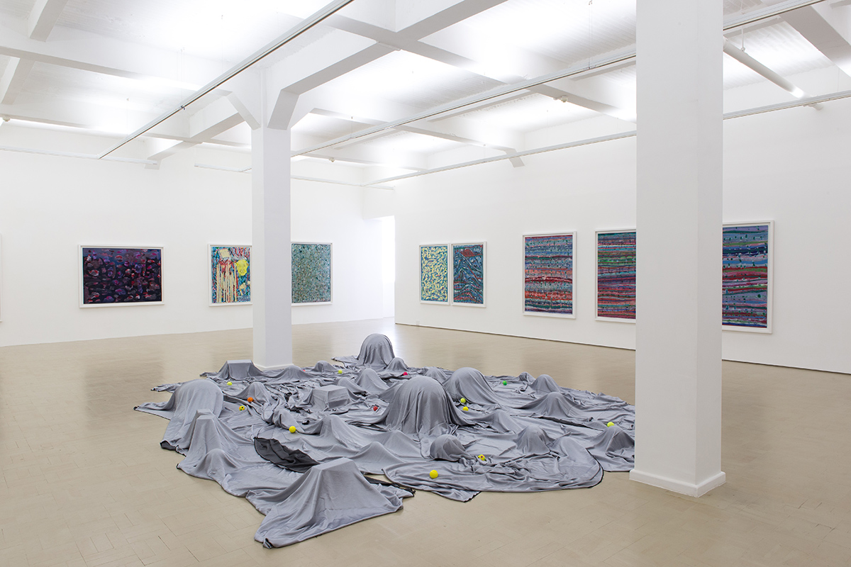 Installation view with Veiled Landscape