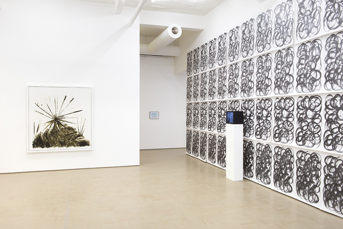 Installation view