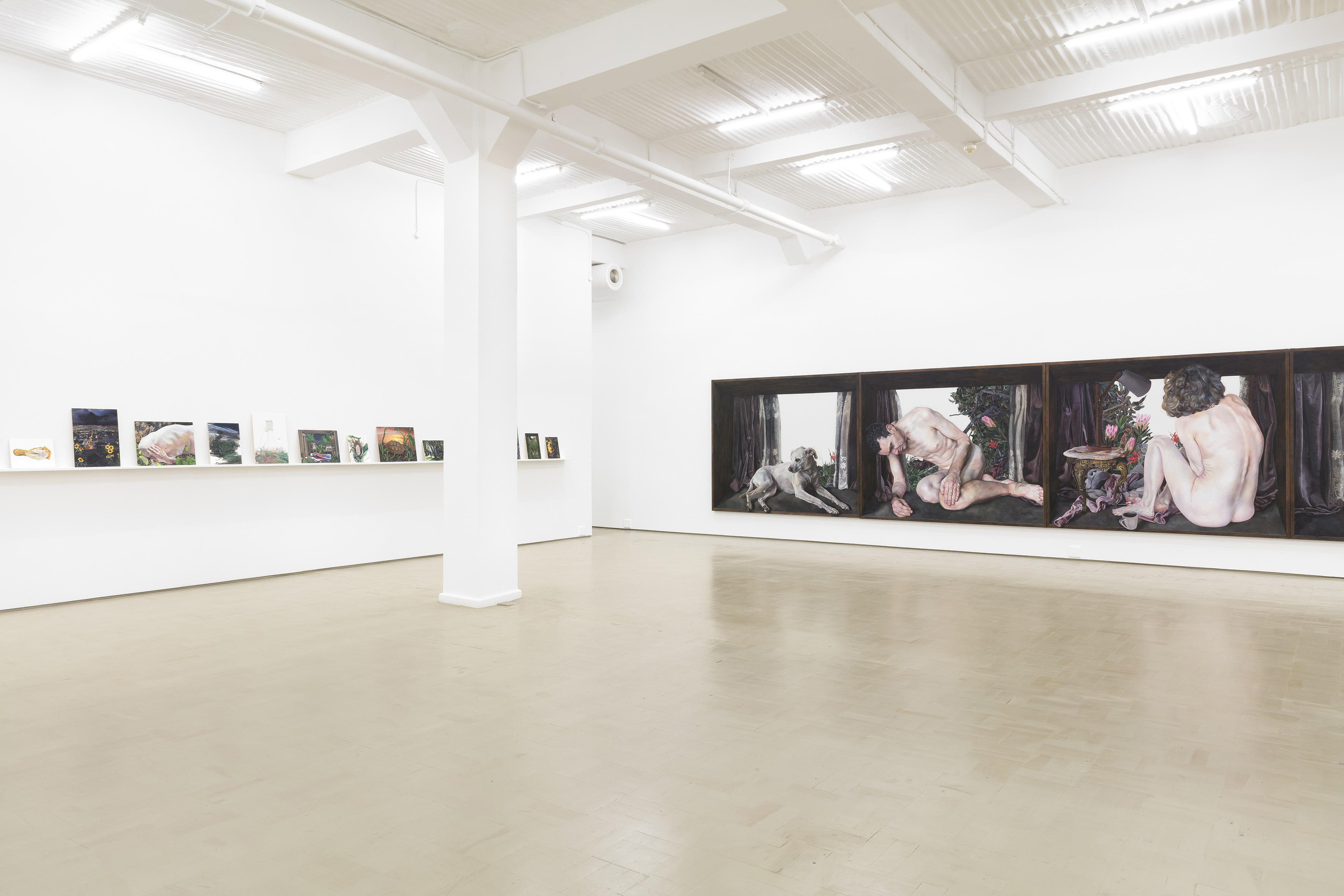 Installation view