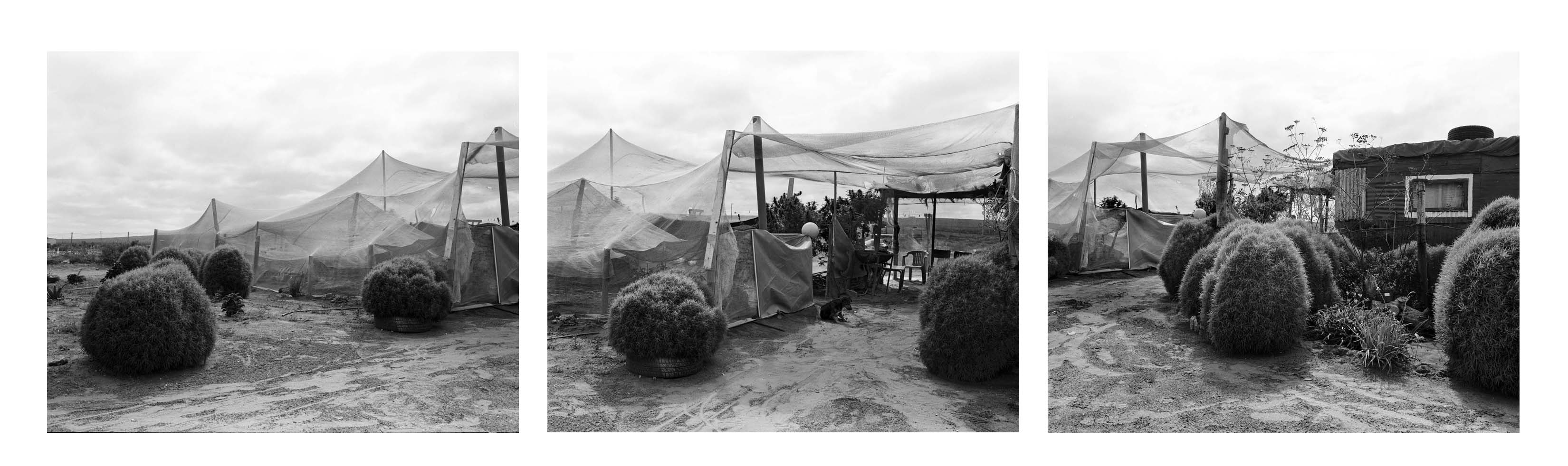  - Thirlow and Jo-Marie Robinson’s house and garden, Doringbaai I, ll & lll, 2026