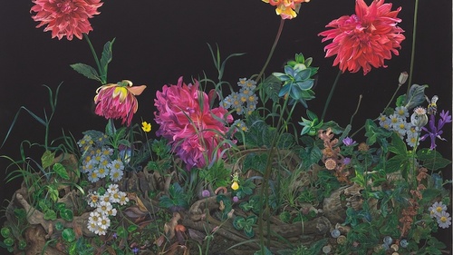 Deborah Poynton at Drents 2025