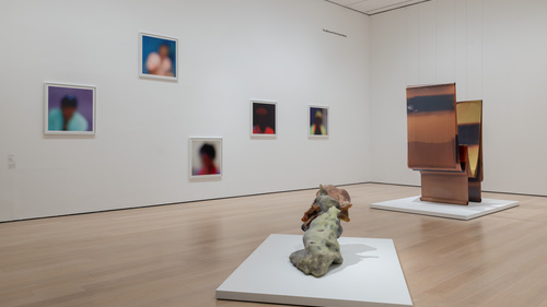 Mame-Diarra Niang at MoMA