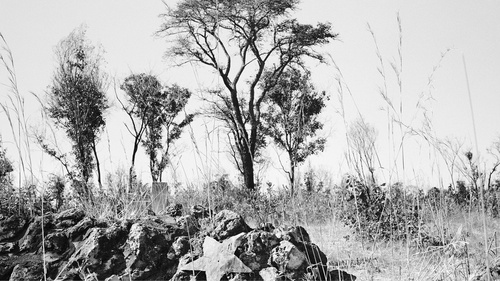 Jo Ractliffe at Musée de la Photographie