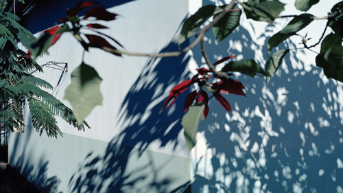 Viviane Sassen at FO.KU.S