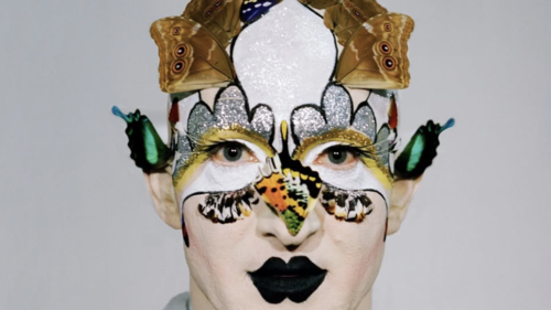 Steven Cohen at the National gallery 