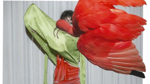 STEVENSON  Viviane Sassen