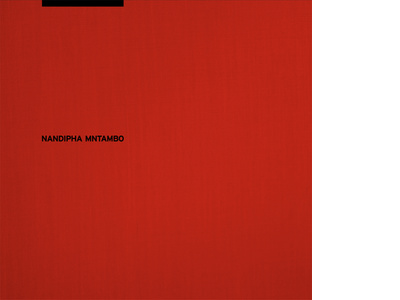 Standard Bank Young Artist 2011