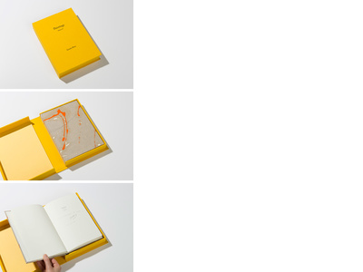 Paintings Volume I special edition