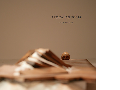 Apocalagnosia